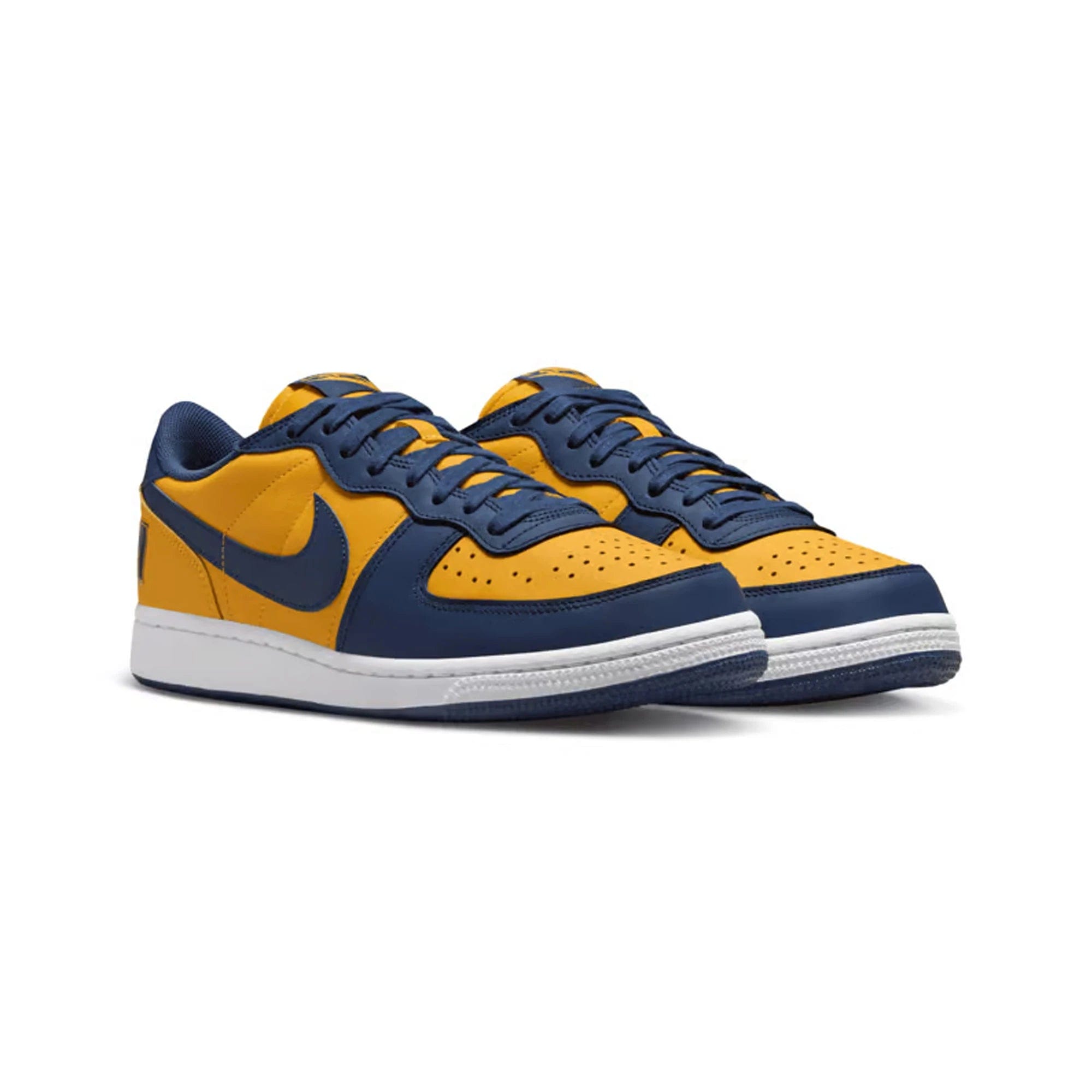 Nike Terminator Low Michigan (2023)