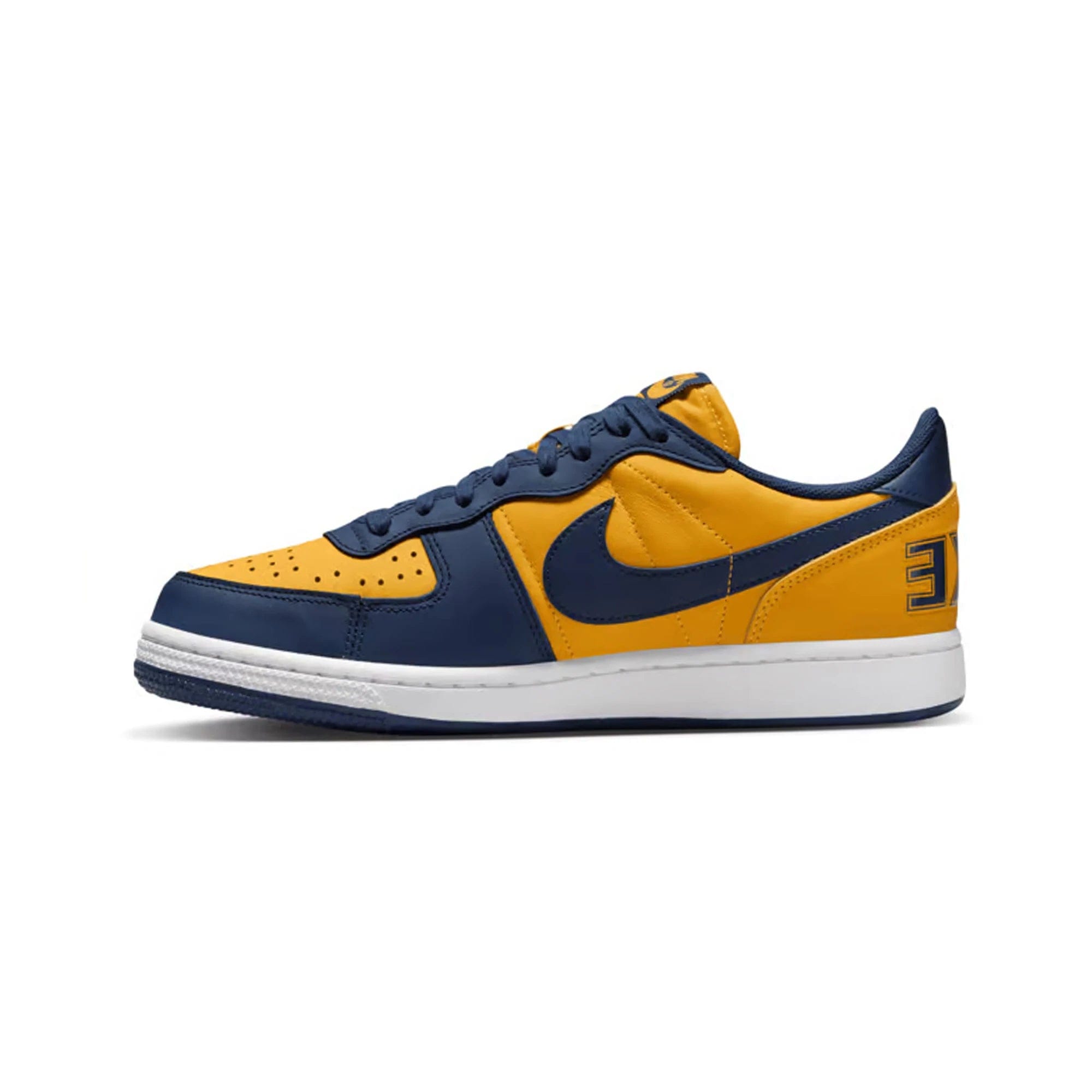 Nike Terminator Low Michigan (2023)