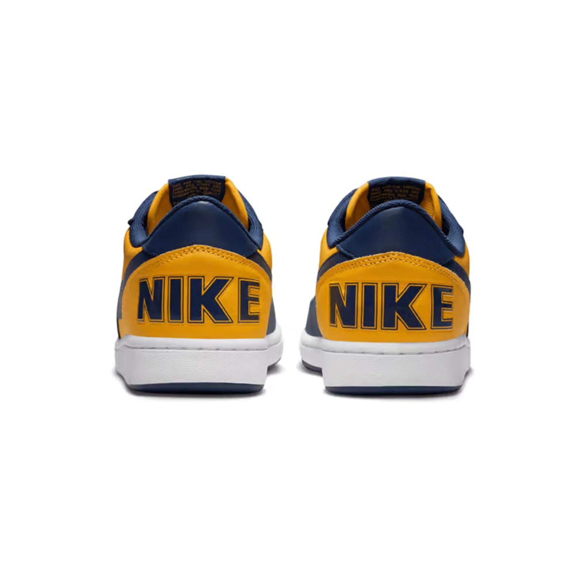 Nike Terminator Low Michigan (2023)