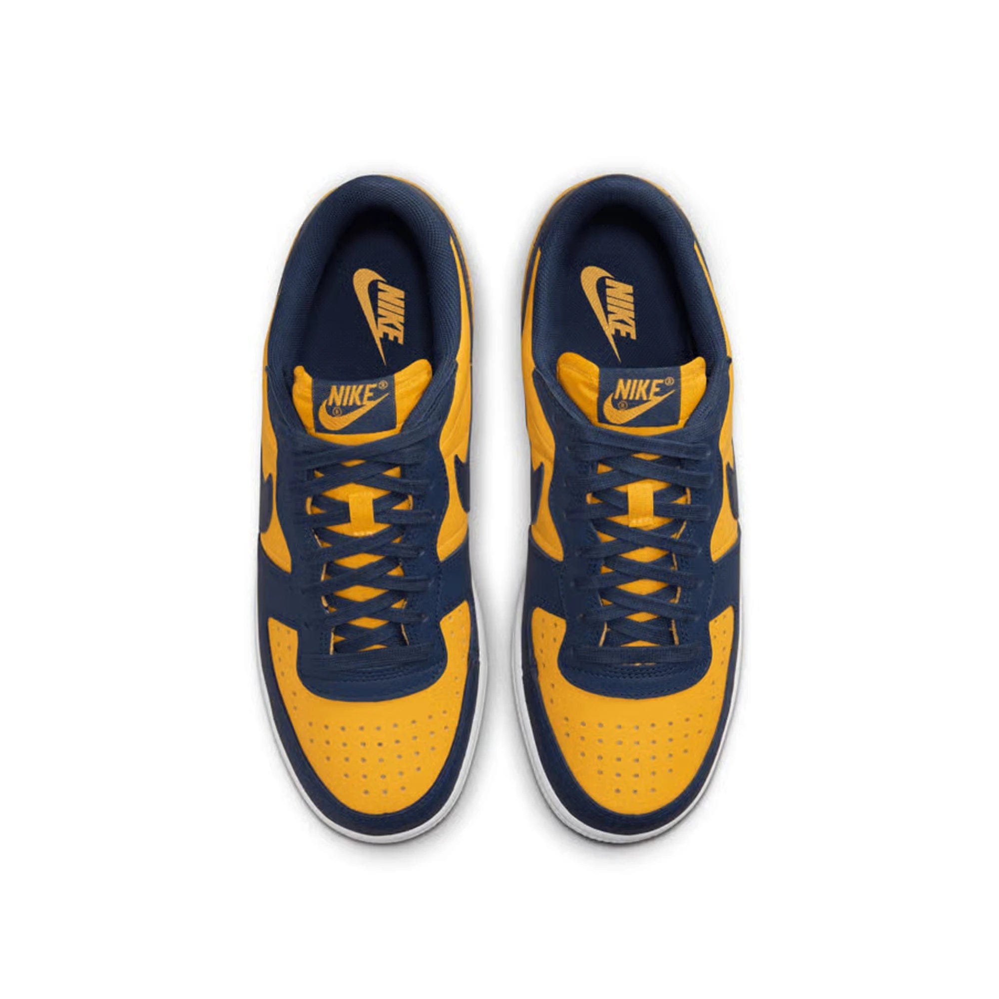 Nike Terminator Low Michigan (2023)