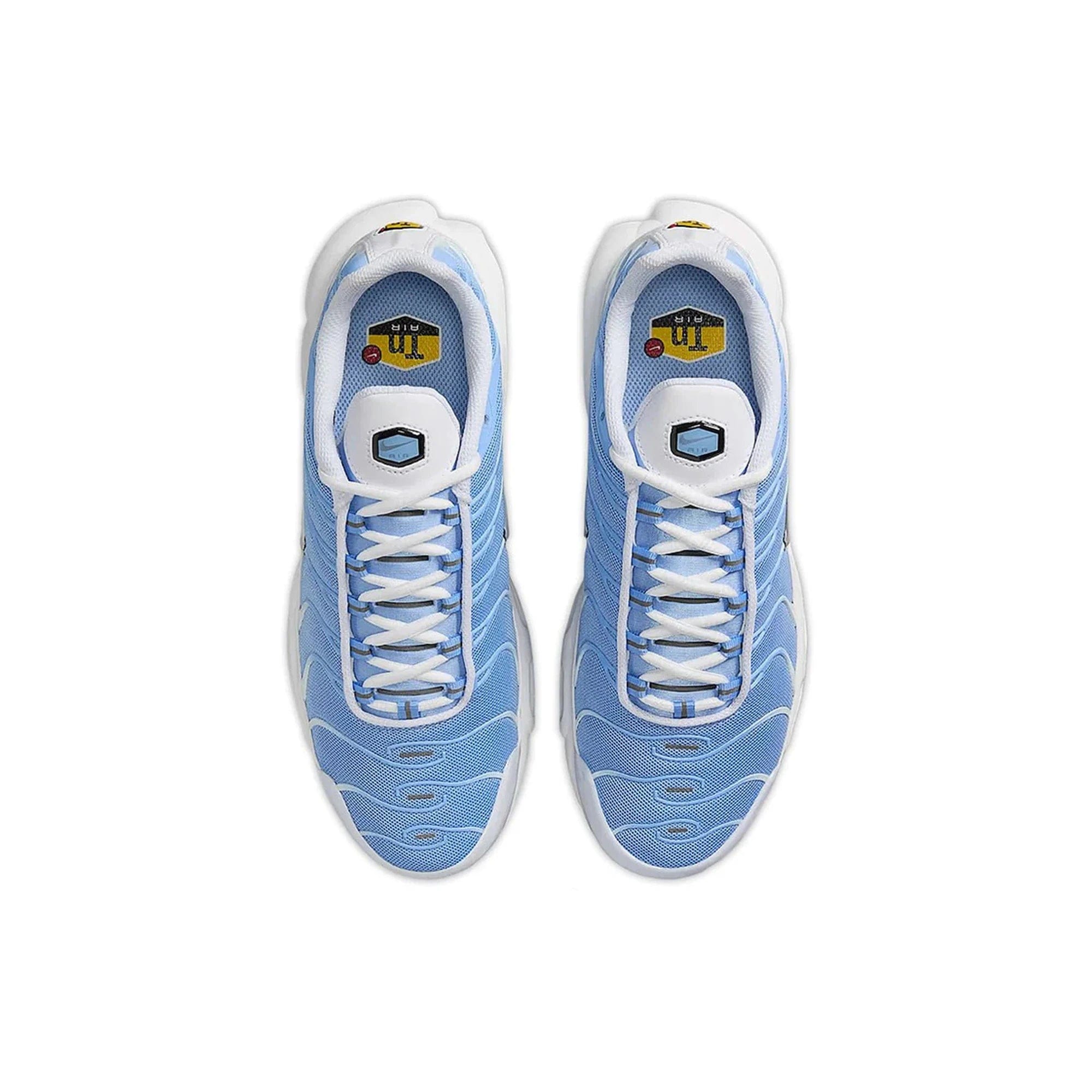 Nike Air Max Plus TN White Aluminum (2025)