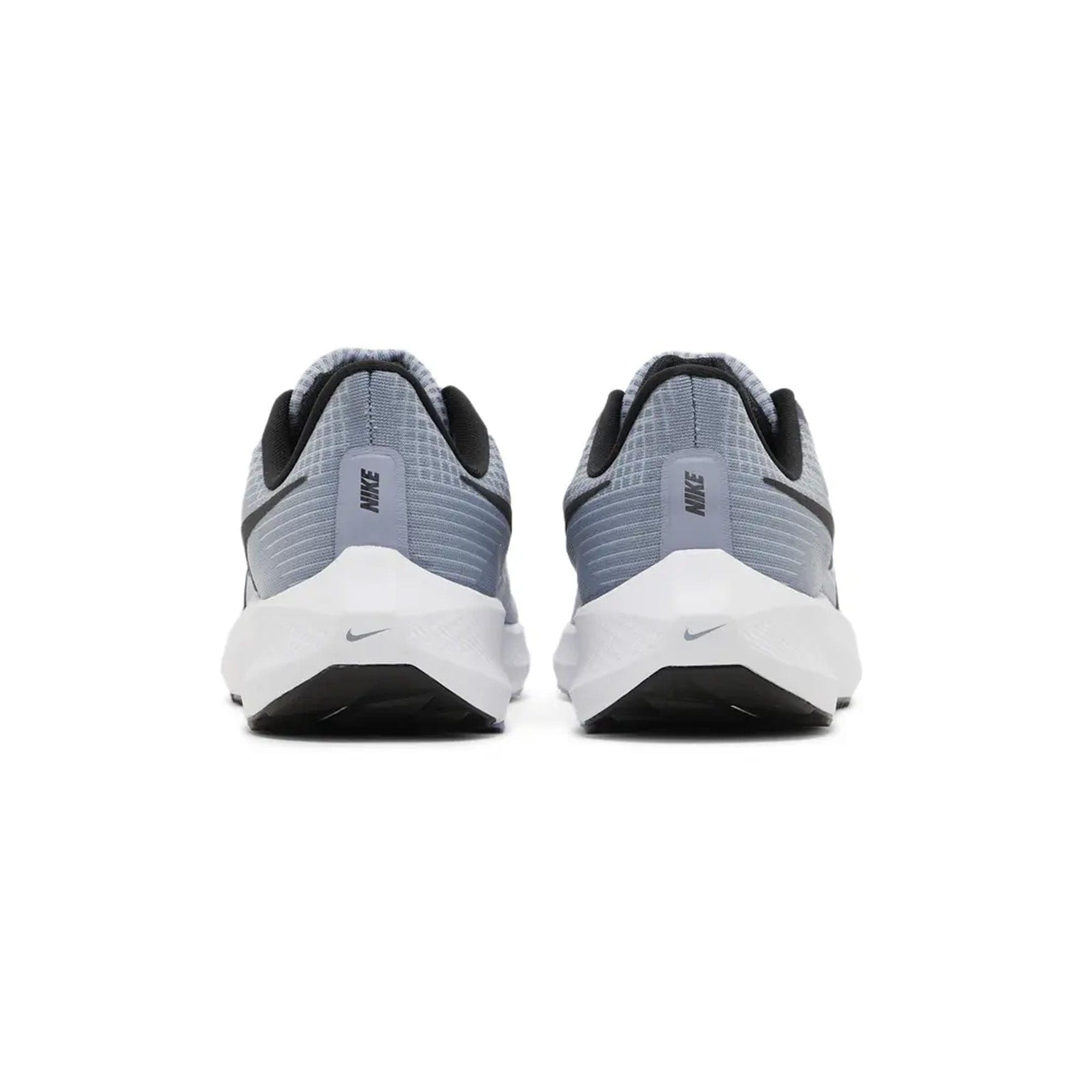 Nike Air Zoom Pegasus 39 Ashen Slate (2023)