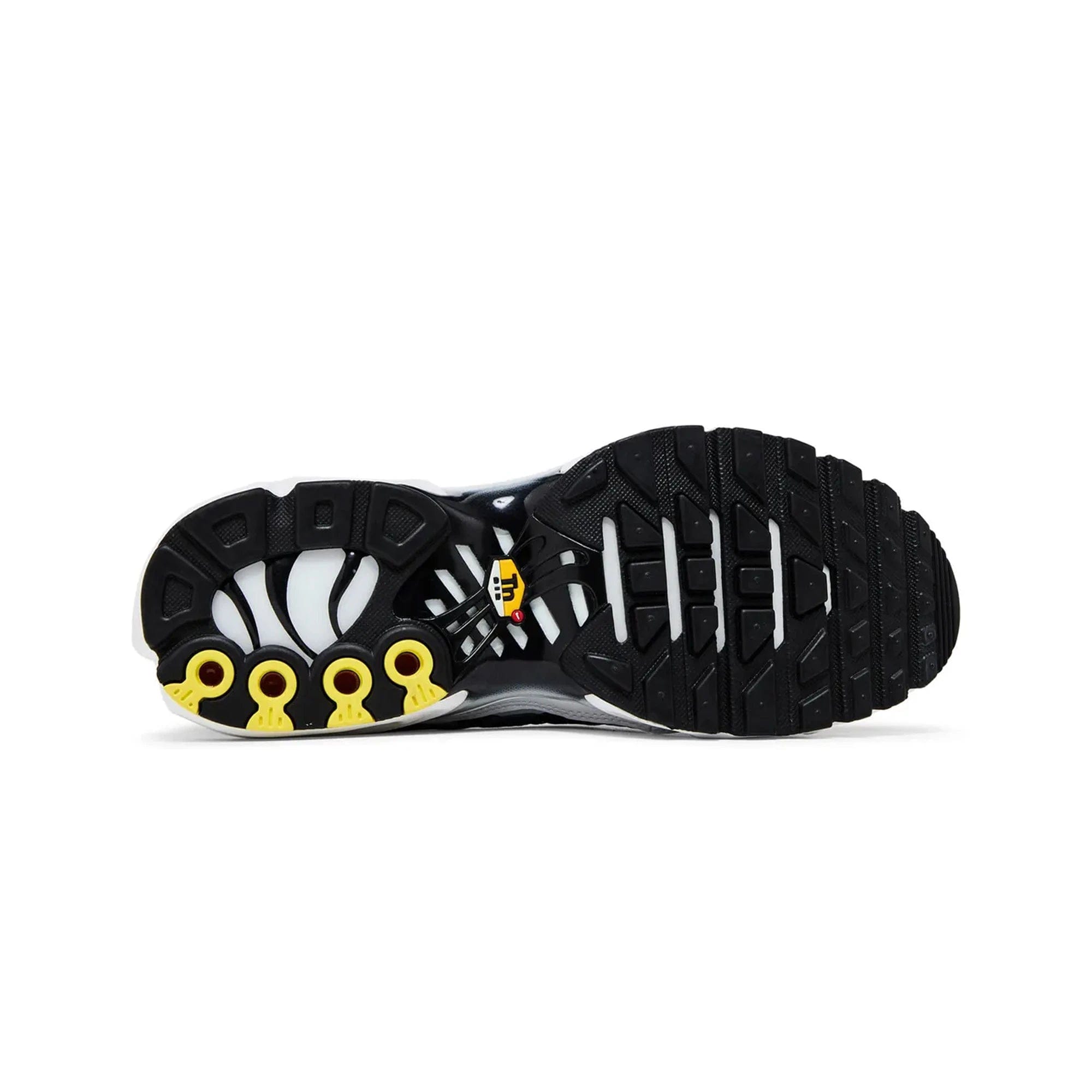 Nike Air Max Plus TN Killer Whale (2020)