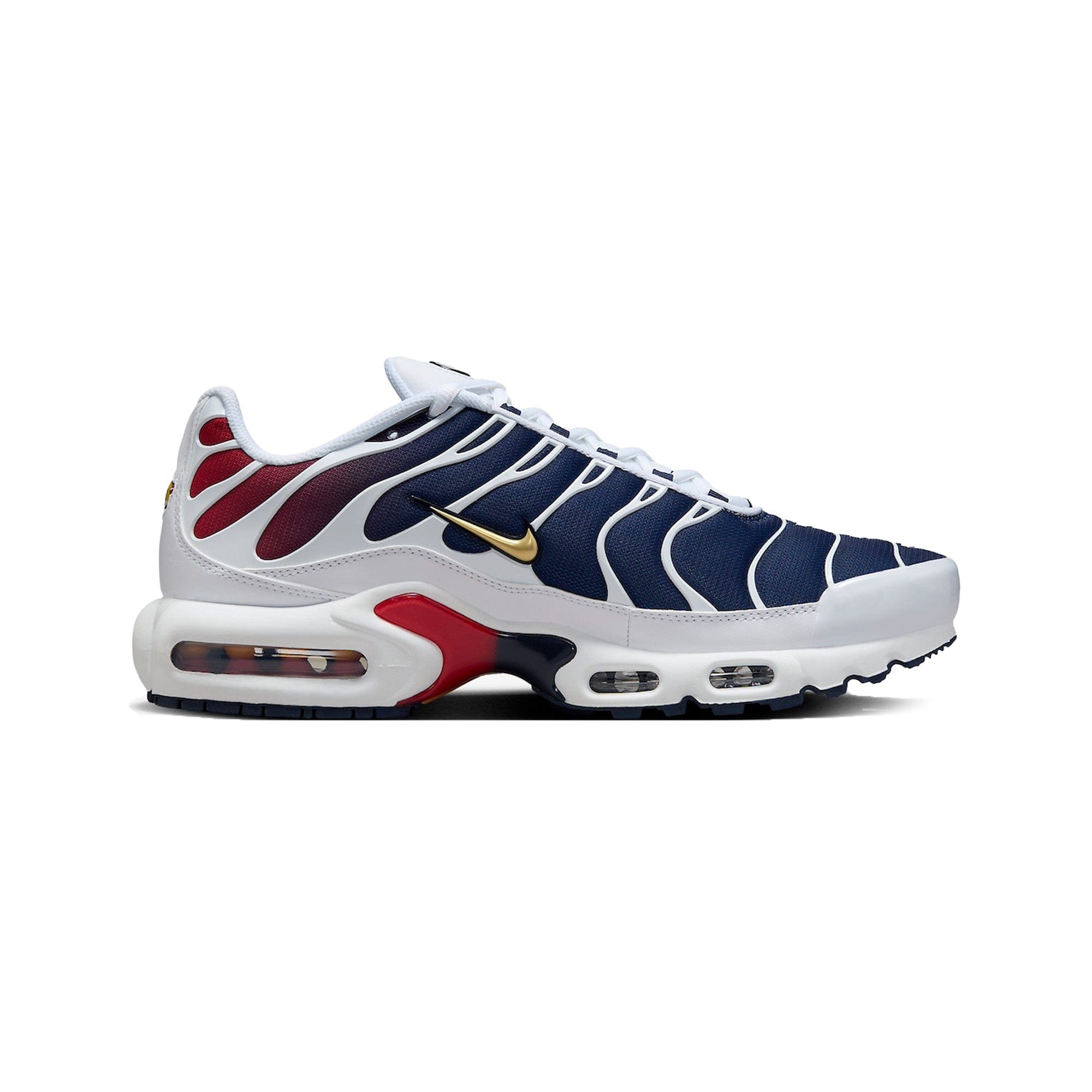 Nike Air Max Plus TN x Paris Saint - Germain Home Kit (2024)