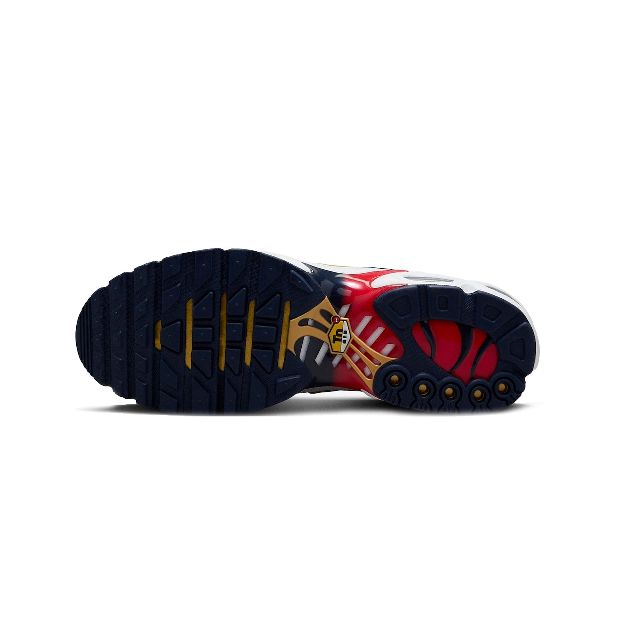 Nike Air Max Plus TN x Paris Saint - Germain Home Kit (2024)