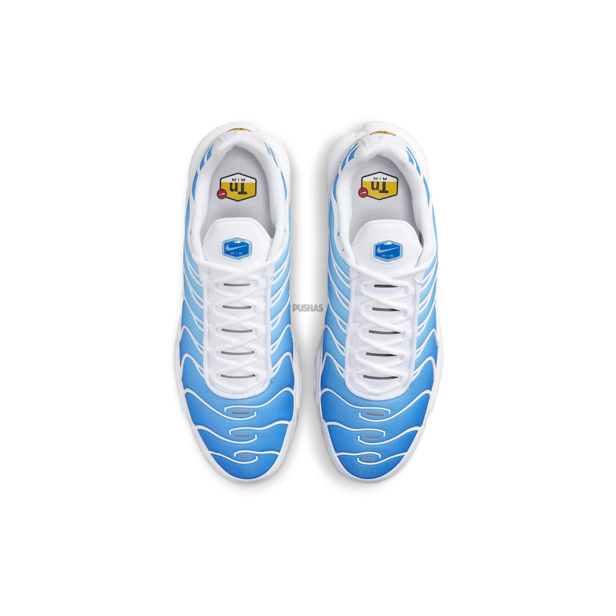 Nike Air Max Plus TN Battle Blue / Sky Blue (2024)