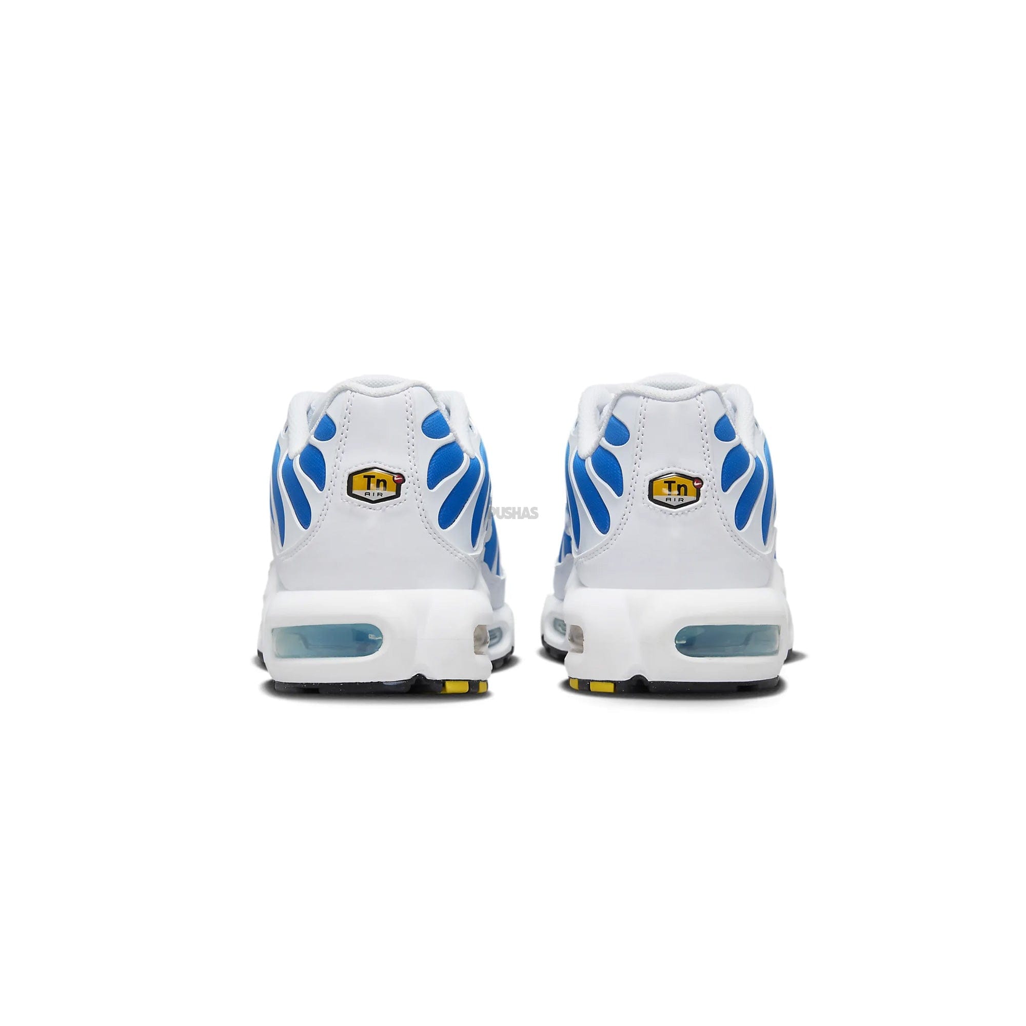 Nike Air Max Plus TN Battle Blue / Sky Blue (2024)