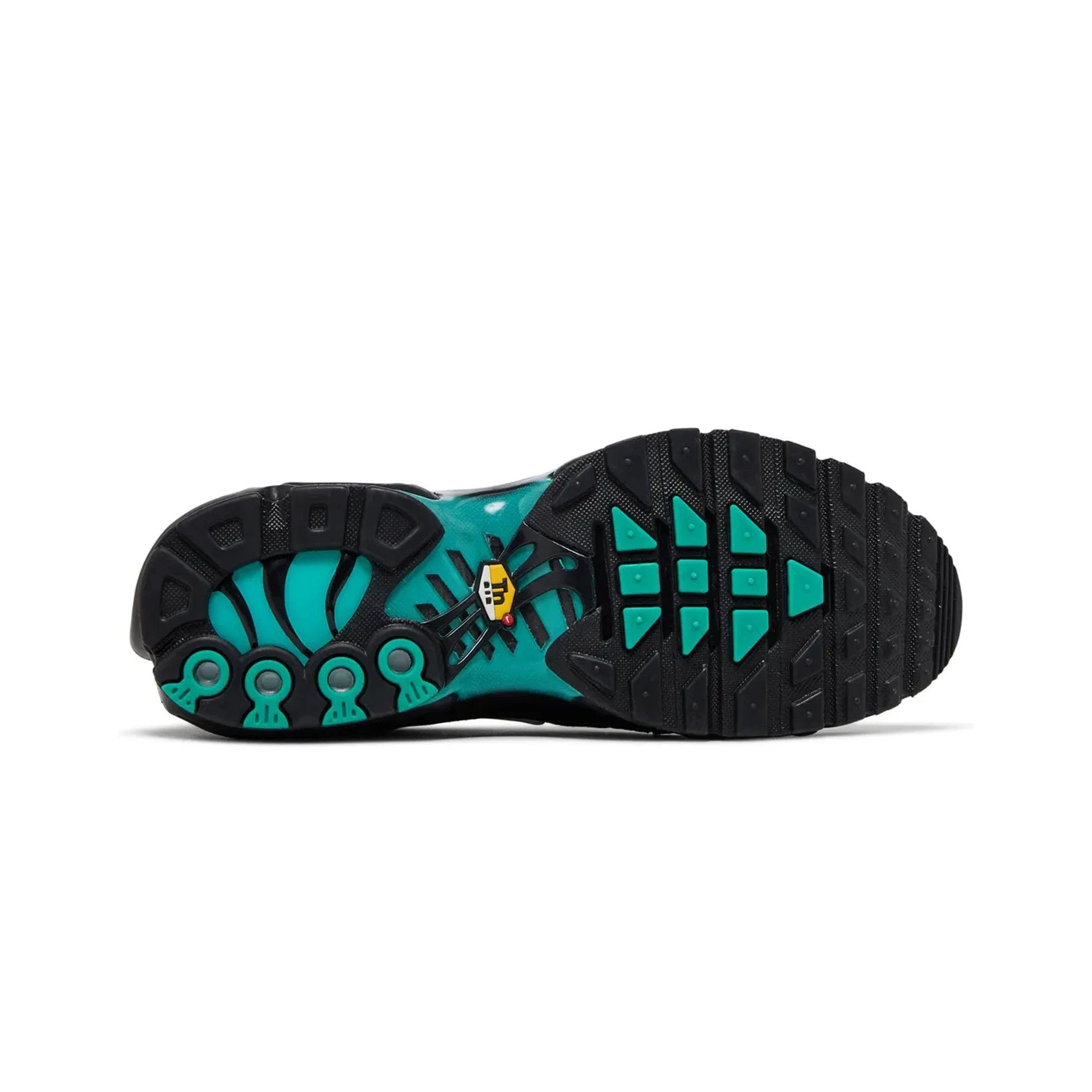 Nike Air Max Plus TN Black Aqua (2023)
