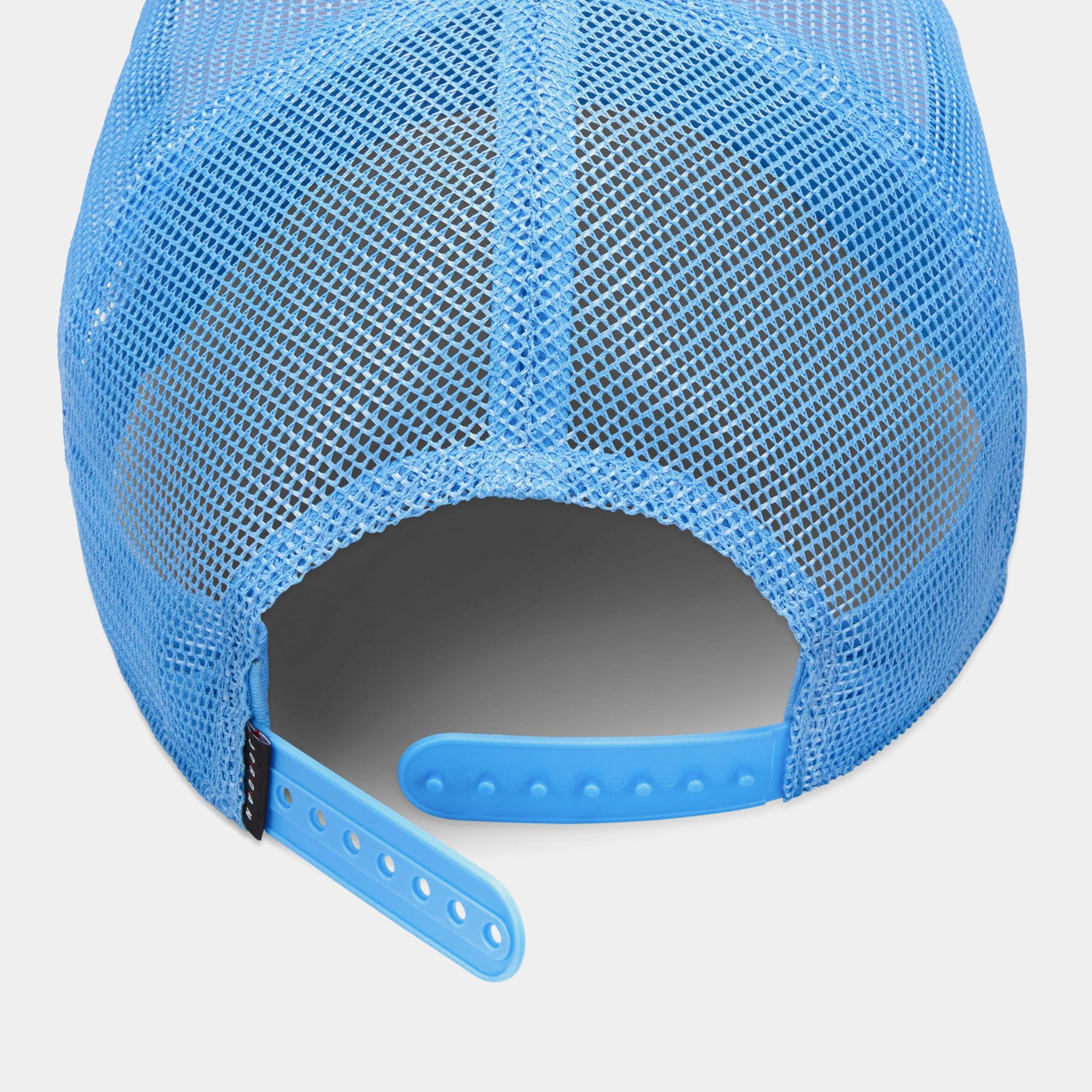 Air Jordan Rise Structured Trucker Mens Hat (Blue/White)
