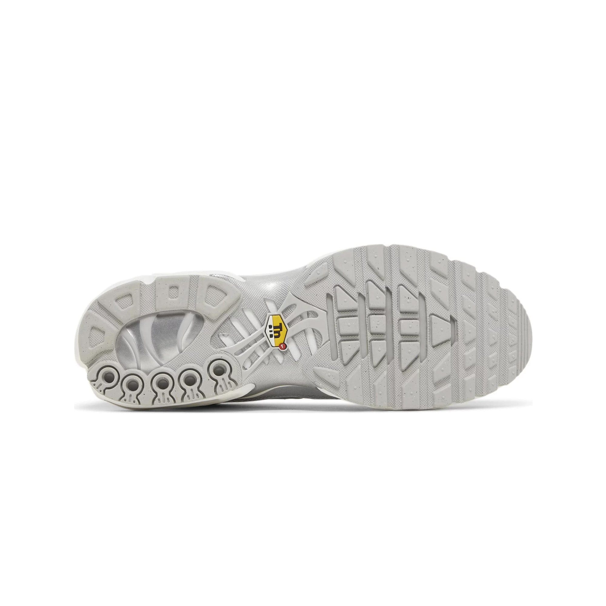 Nike Air Max TN Plus Metallic Silver (2023)