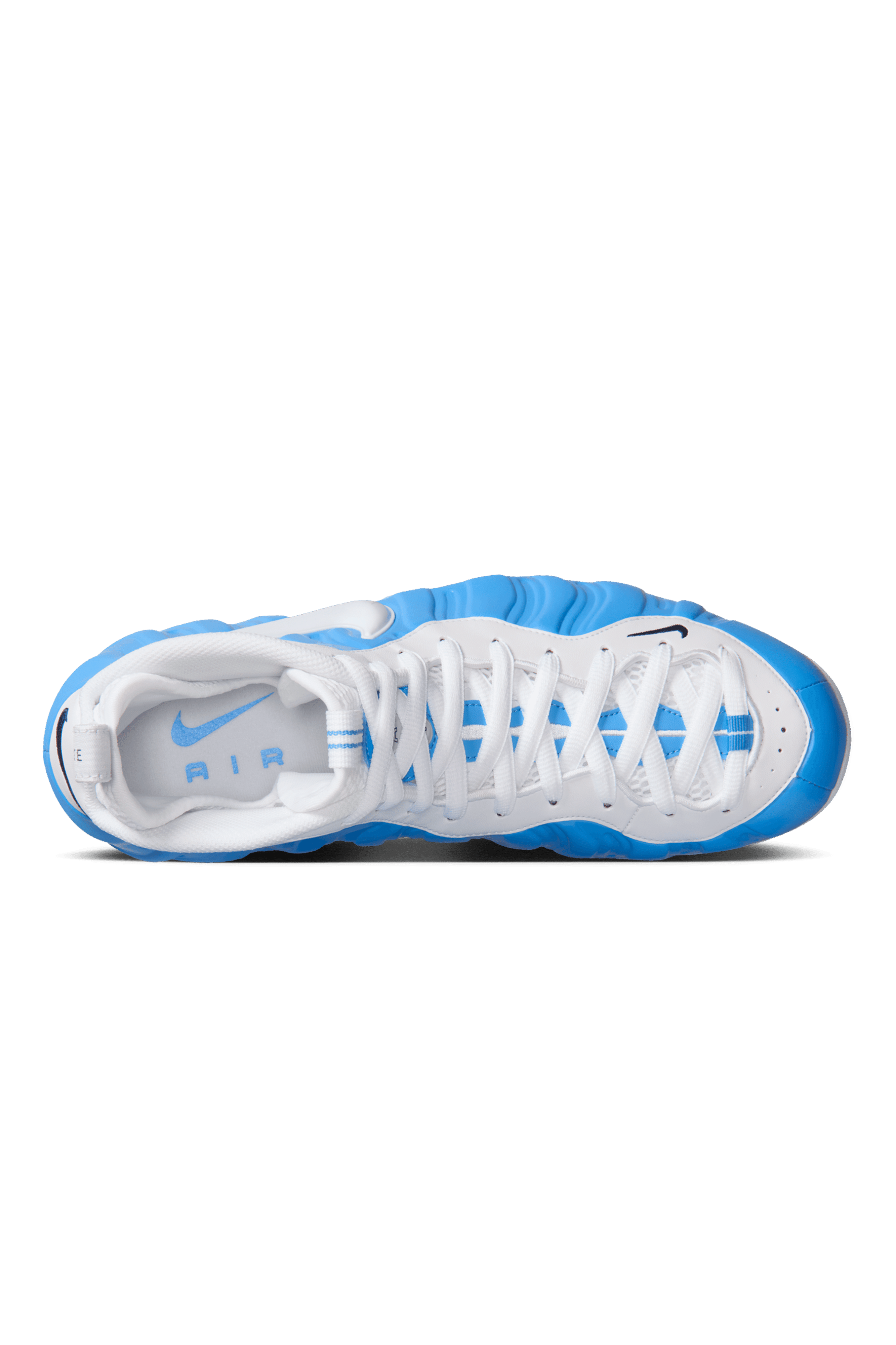 Nike Air Foamposite Pro