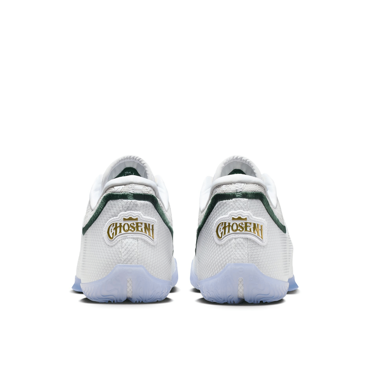 Nike Lebron Xxiii From This Point Forward