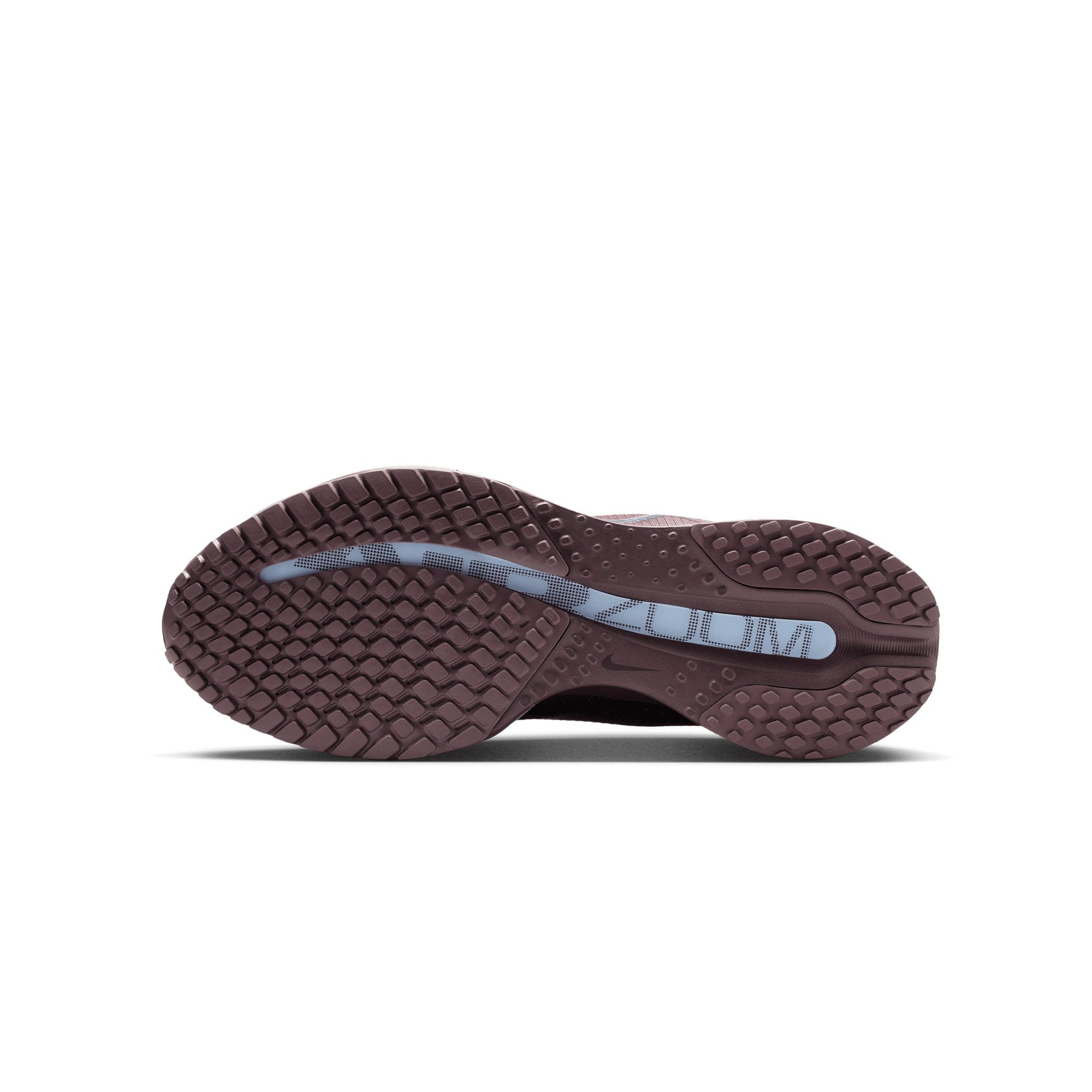 Nike Women's Nike Pegasus Premium TATTOO HQ2593 - 502