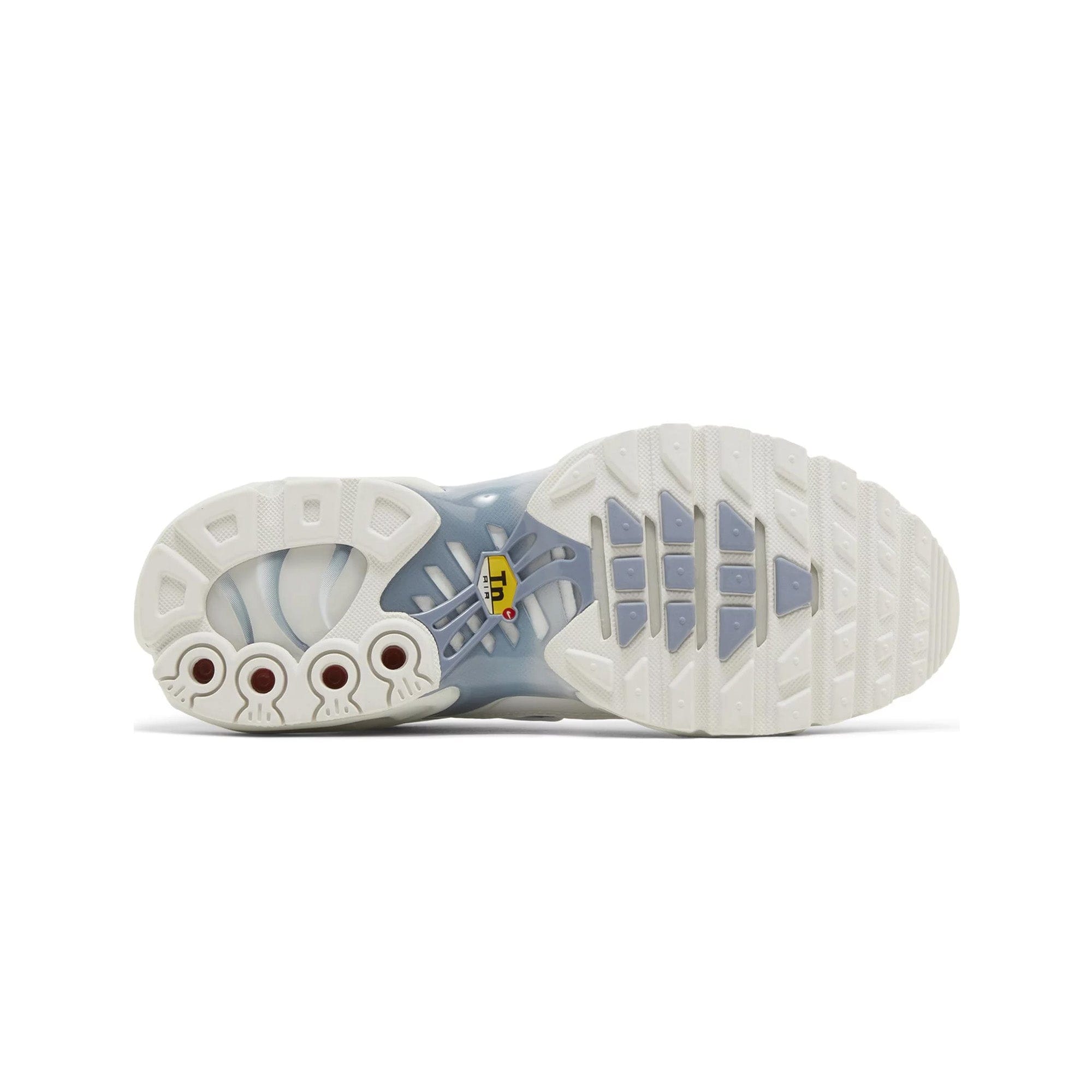 Nike Air Max Plus TN Tuned 1 White Ashen Slate (2023)