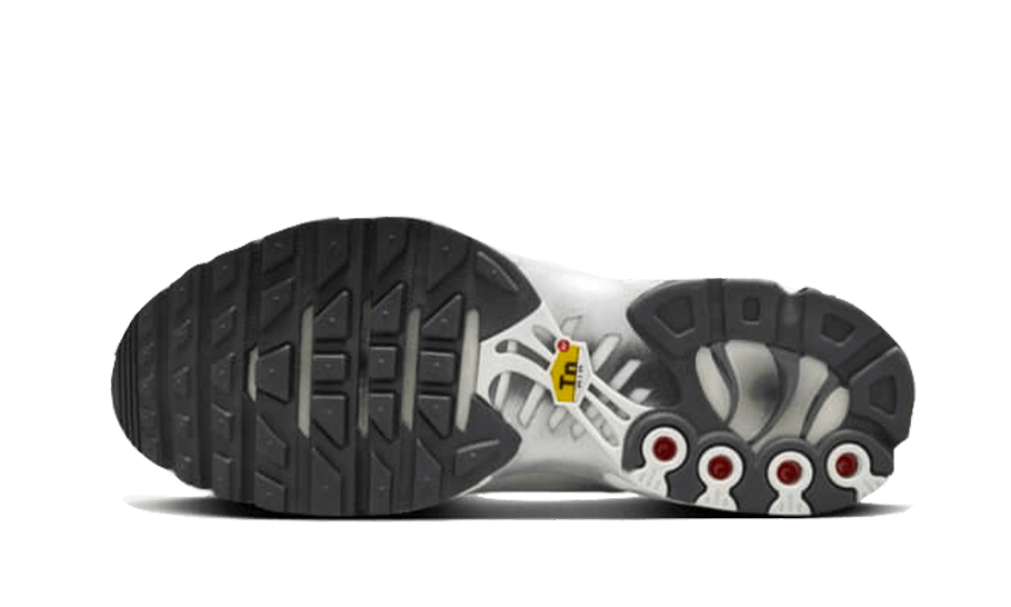 Nike Air Max Plus Reflective Platinum