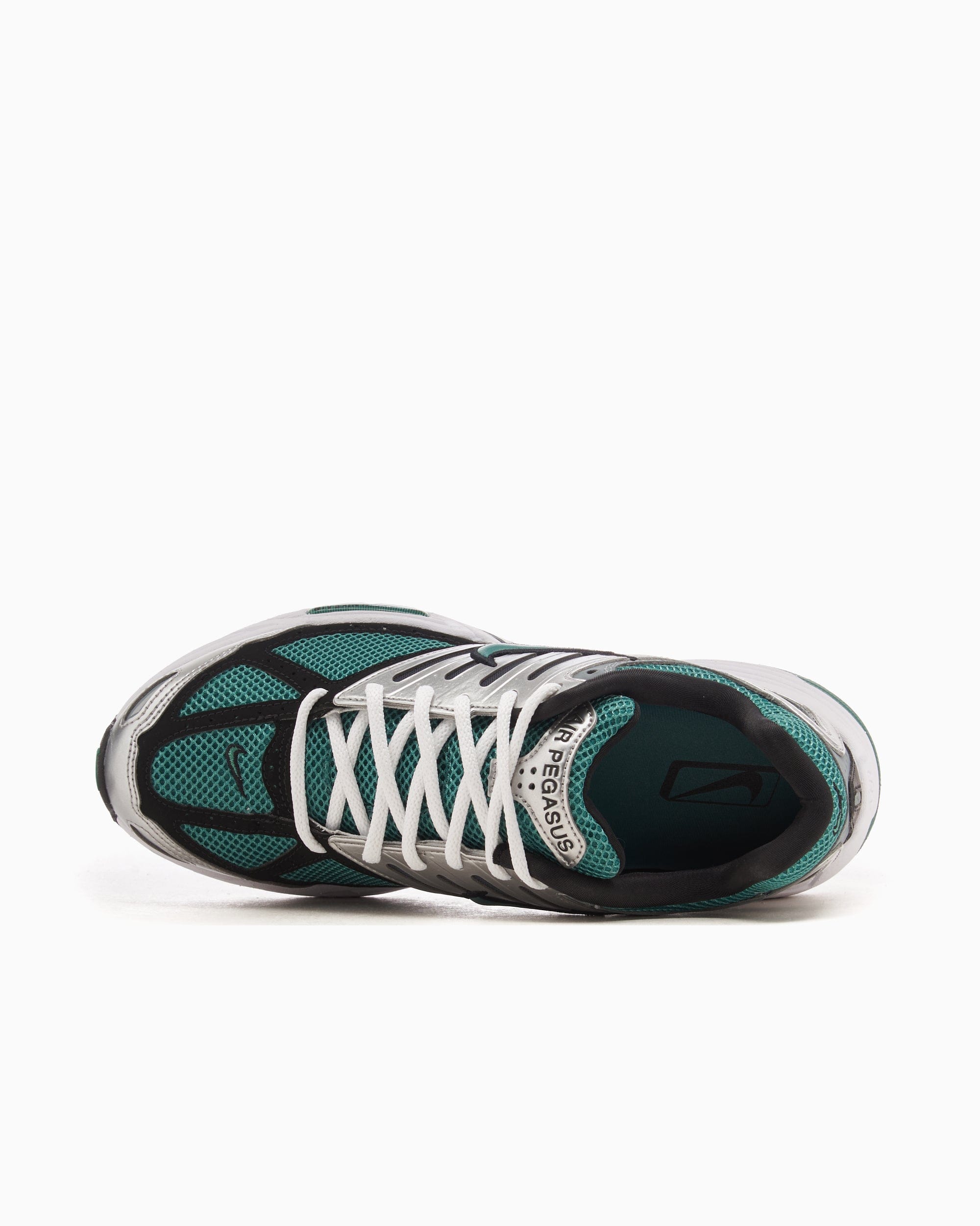 Nike Air Pegasus 2005 Bicoastal