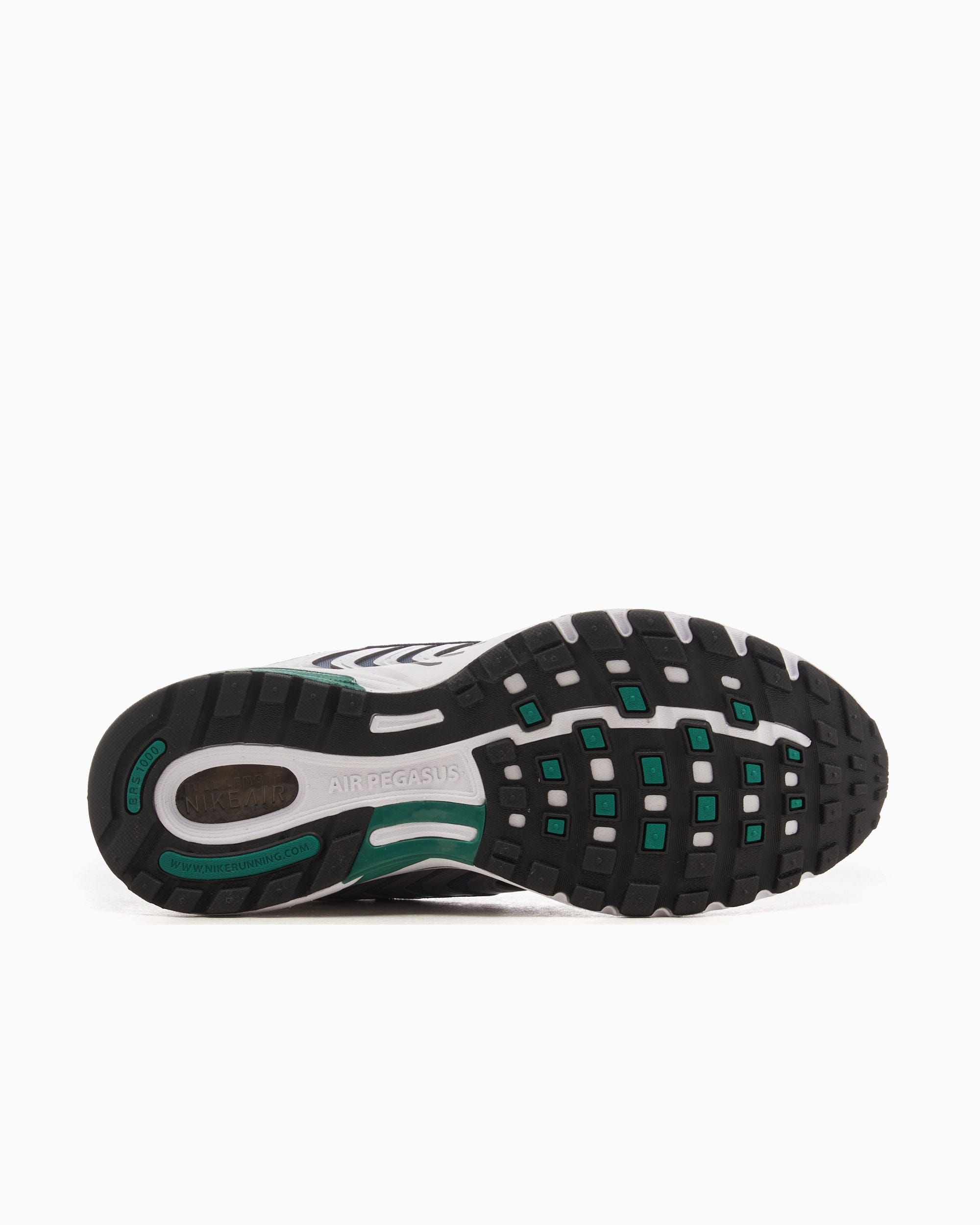 Nike Air Pegasus 2005 Bicoastal