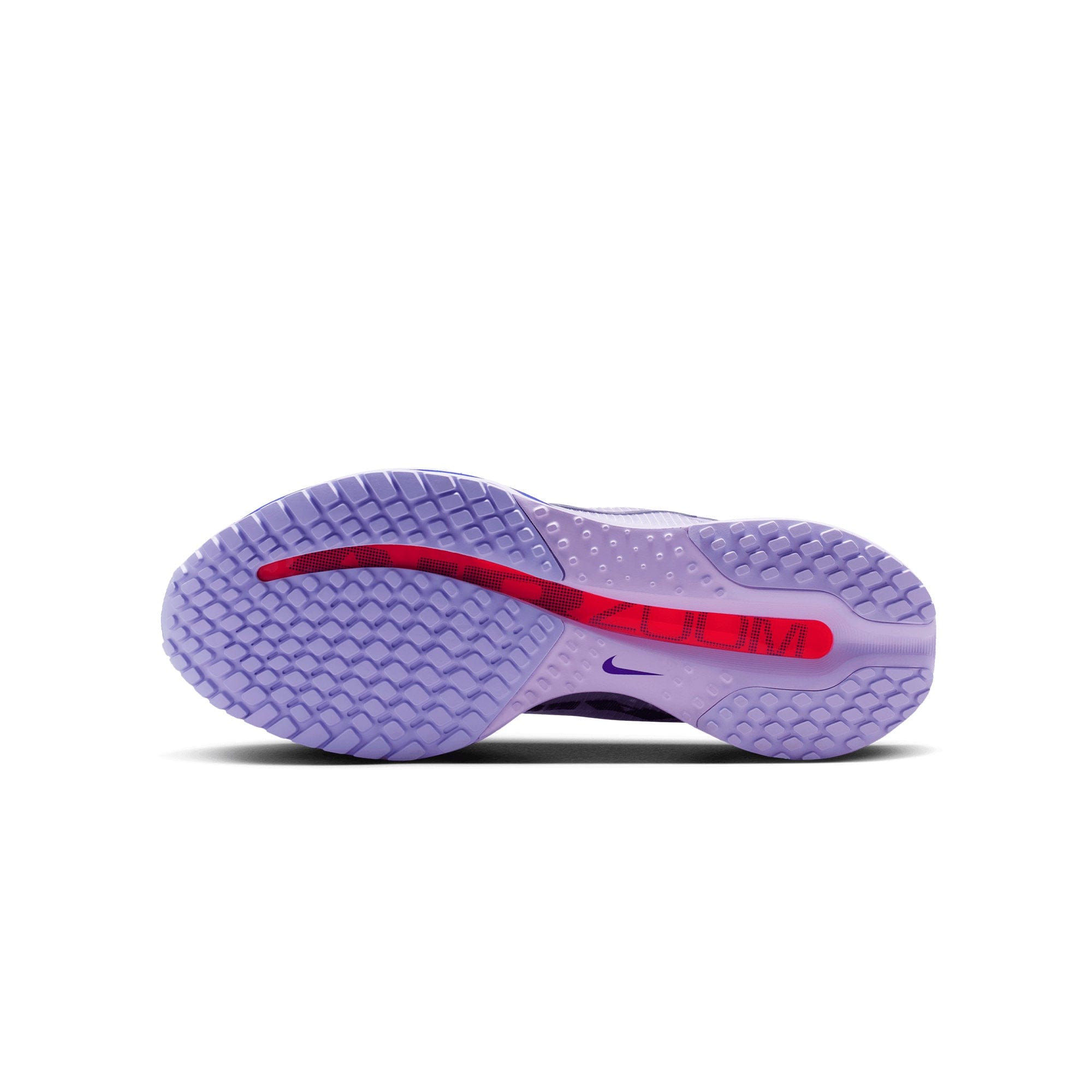 Nike Women's Nike Pegasus Premium BARELY GRAPE HQ2593 - 500