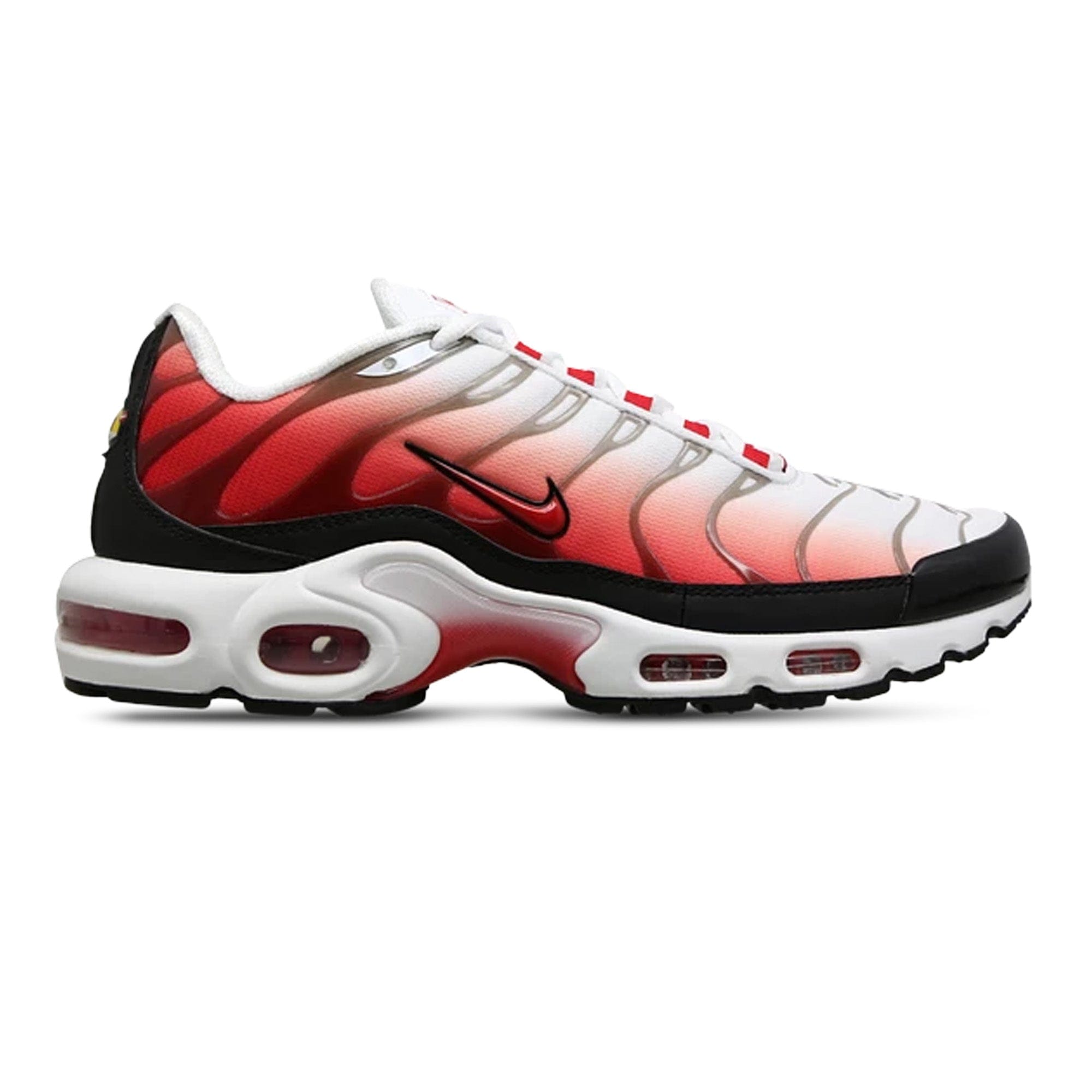 Nike Air Max Plus TN Gym Red (2024)