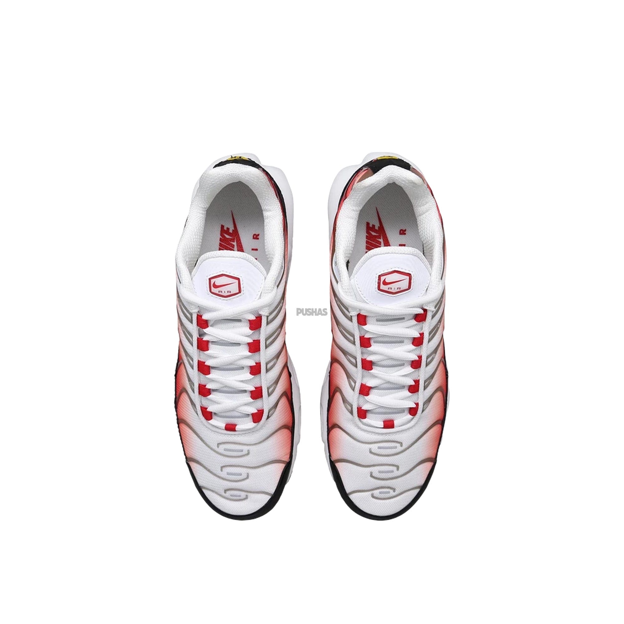 Nike Air Max Plus TN Gym Red (2024)