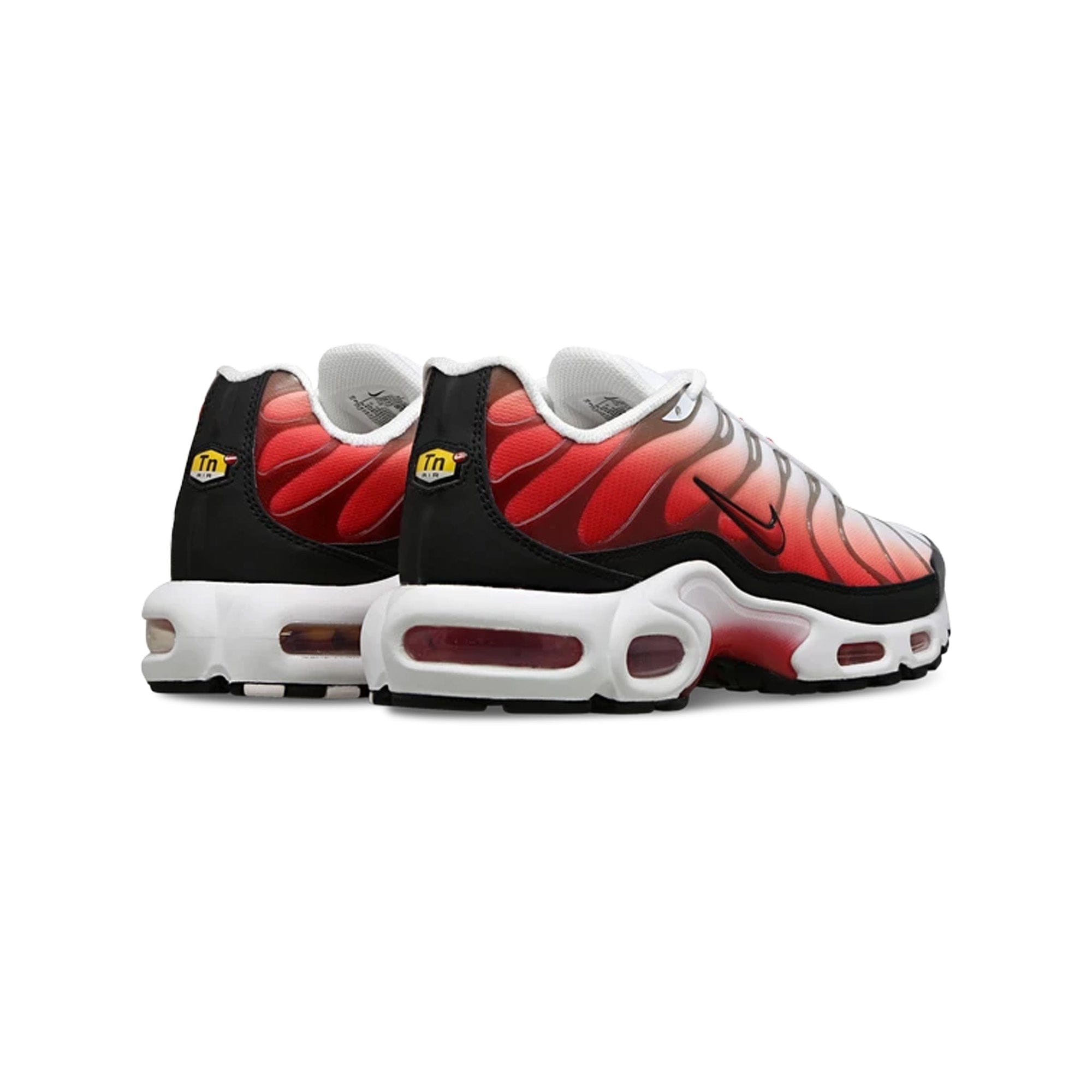 Nike Air Max Plus TN Gym Red (2024)