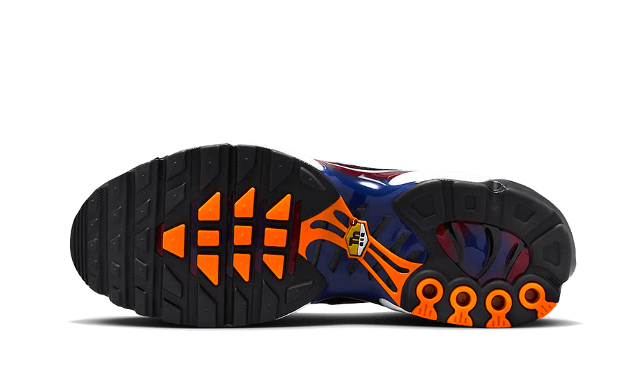 Nike Air Max Plus Patta FC Barcelona