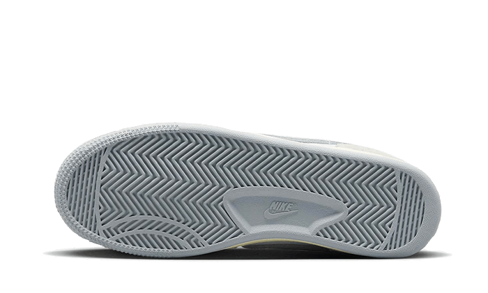 Nike Terminator Low Liberté