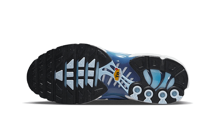 Nike Air Max Plus University Blue Gradient