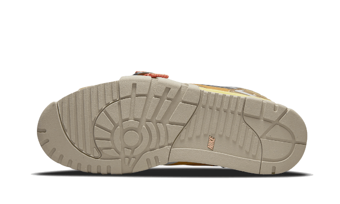 Nike Air Trainer 1 SP Coriander