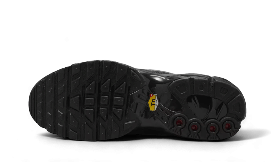 Nike Air Max Plus Tiempo Black White