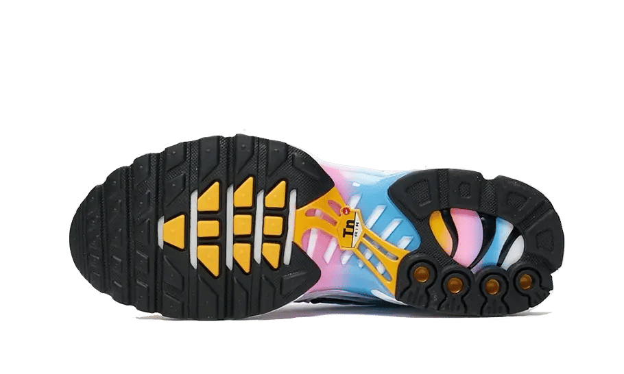 Nike Air Max Plus Summer Gradient