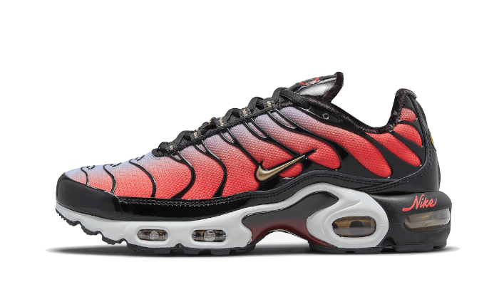 Nike Air Max Plus Sisterhood
