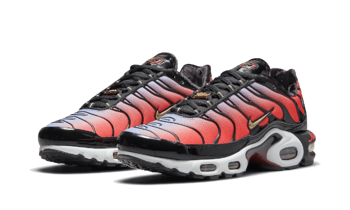Nike Air Max Plus Sisterhood
