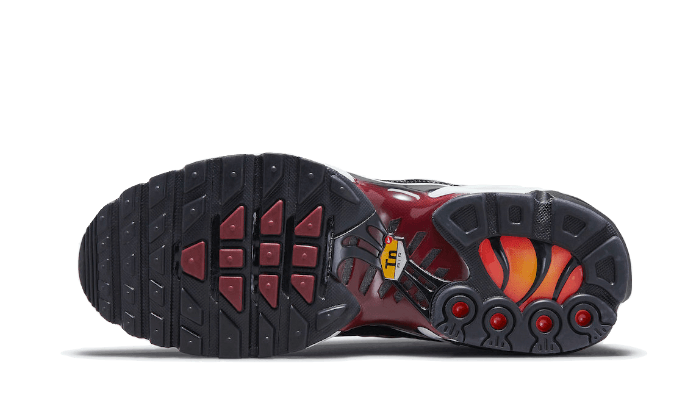 Nike Air Max Plus Sisterhood