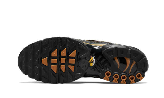 Nike Air Max Plus Cordura Black