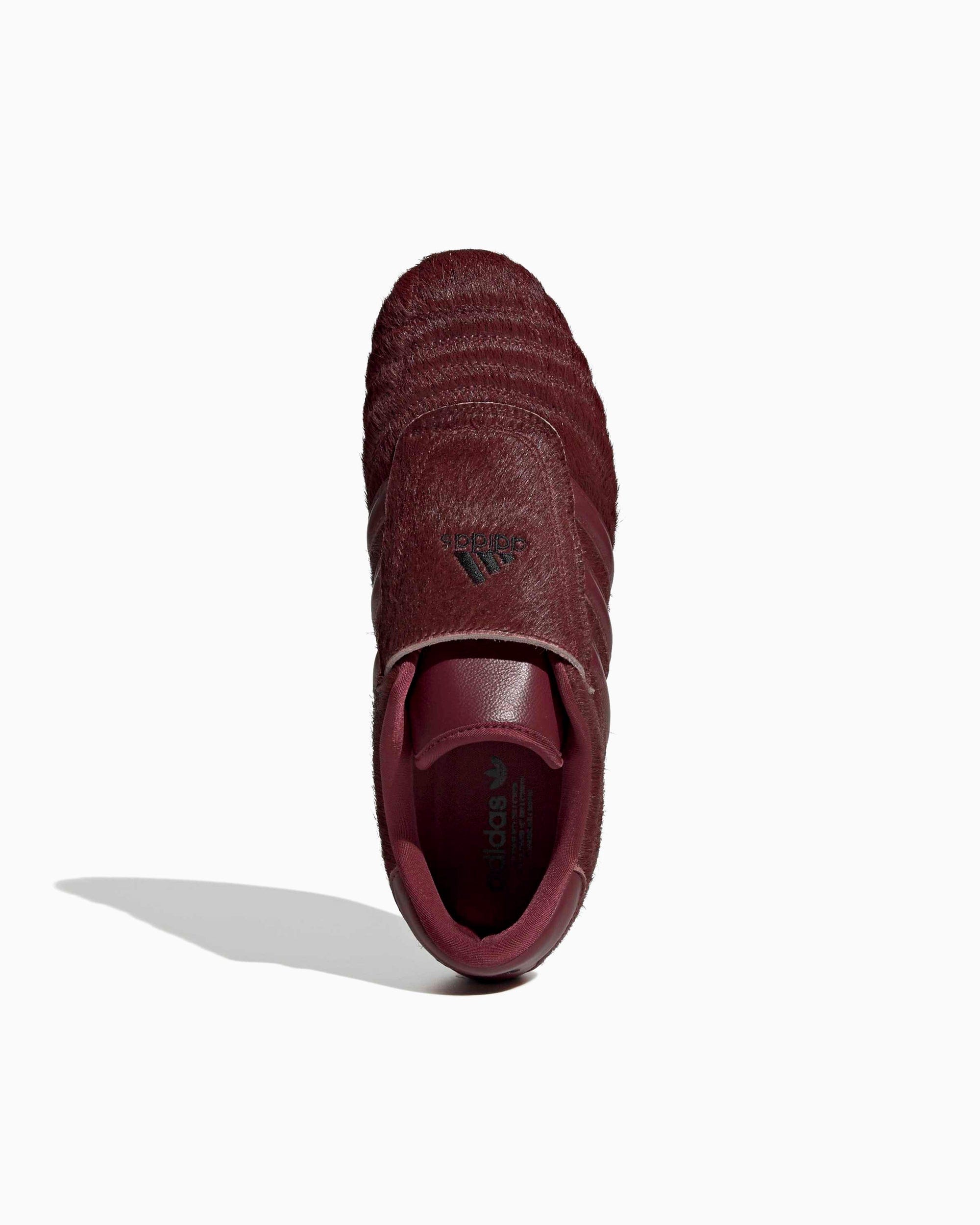 adidas Women's Taekwondo