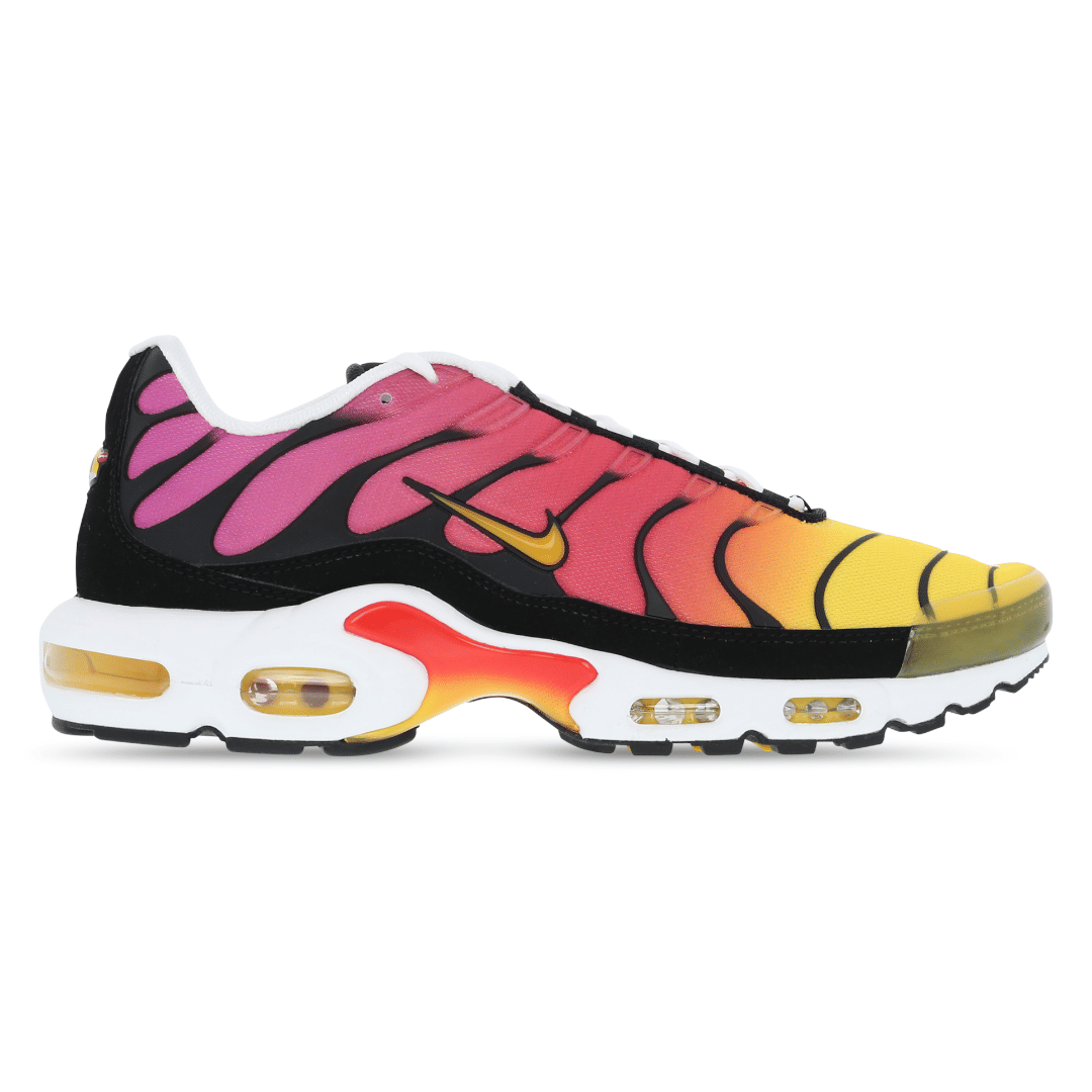 Nike Mens Nike Air Max Plus TN Rainbow Retro