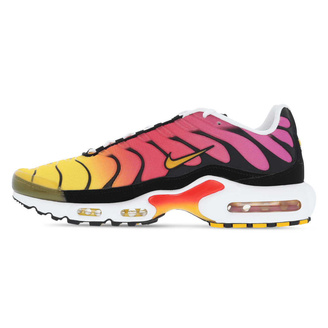 Nike Mens Nike Air Max Plus TN Rainbow Retro