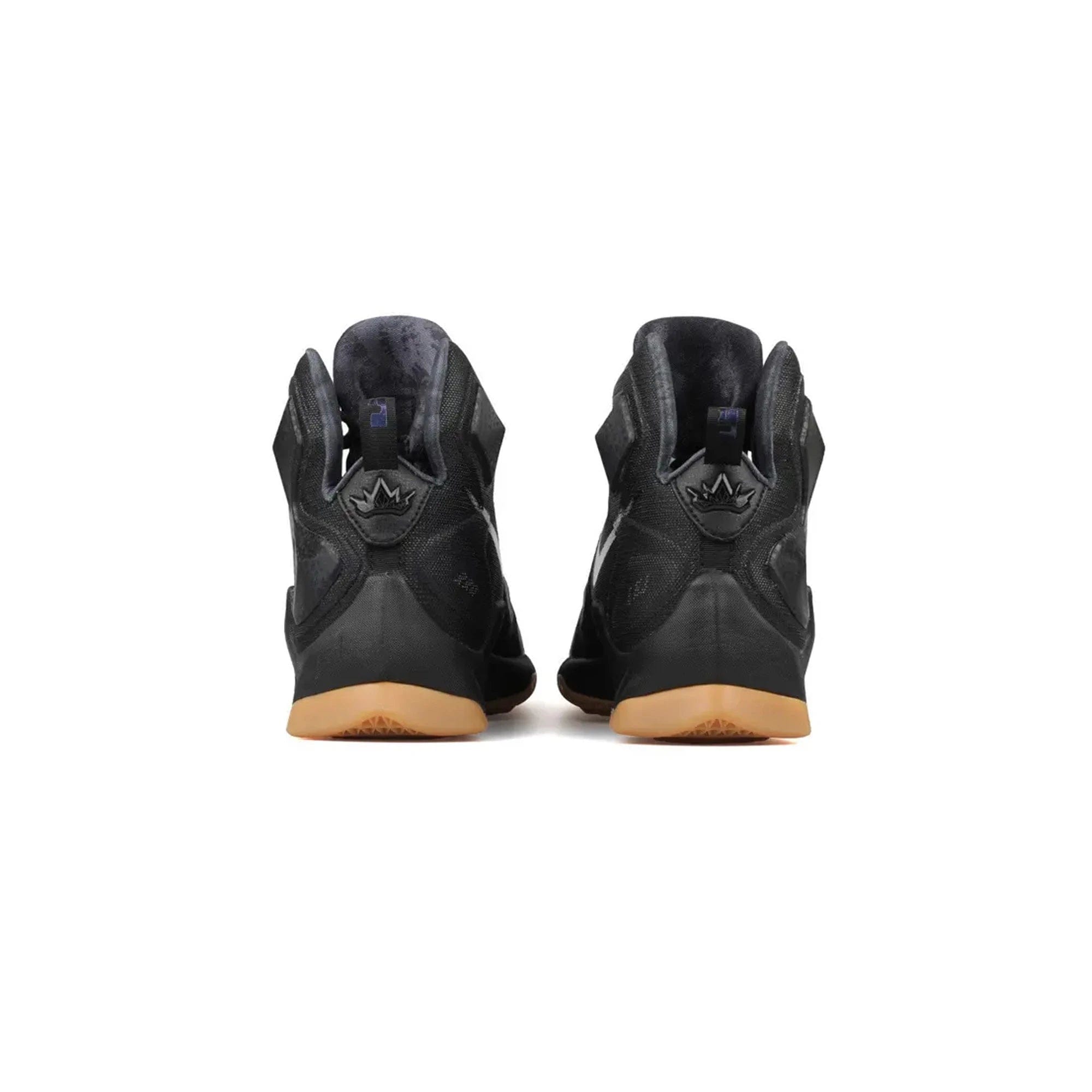 Nike LeBron 13 Black Lion (2016)