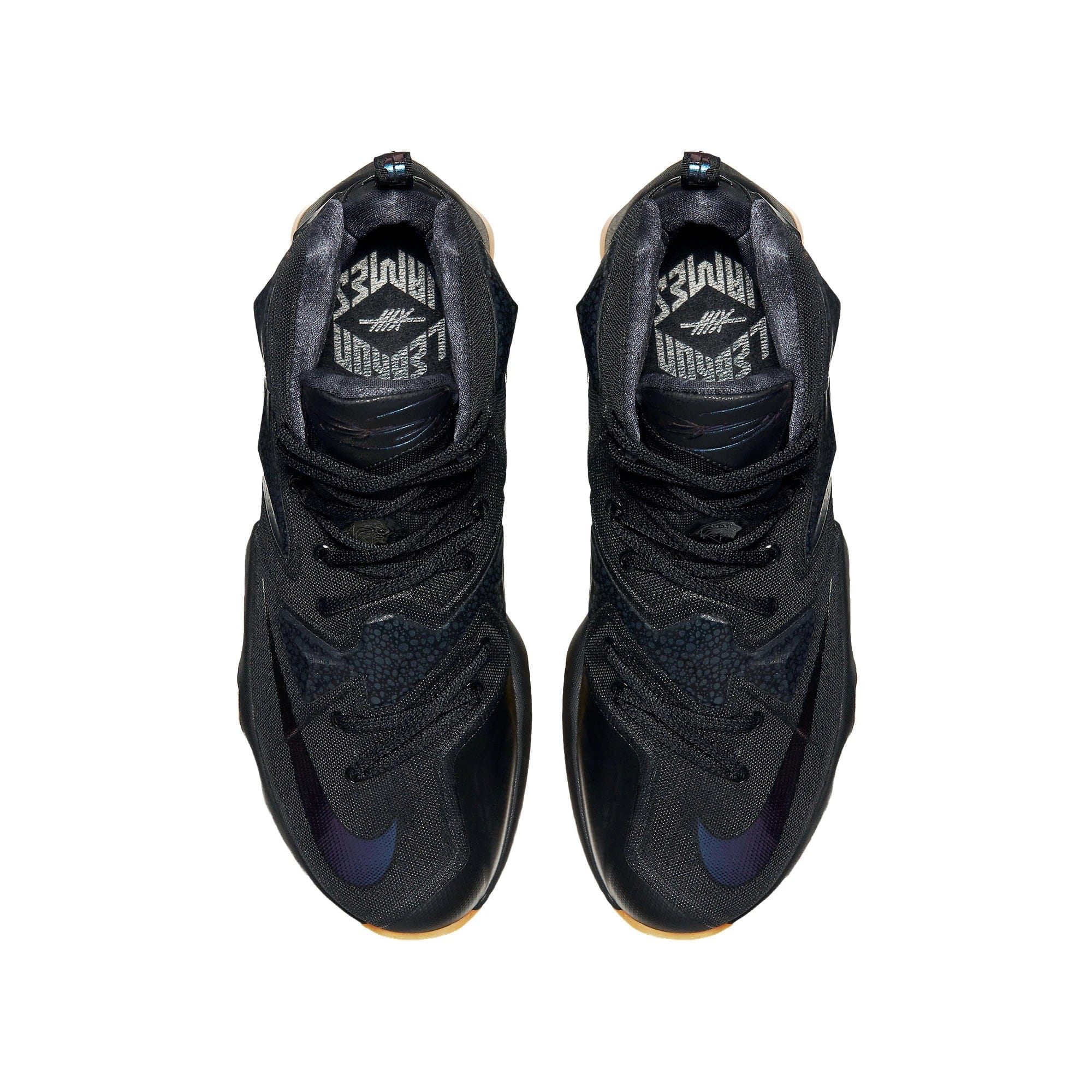 Nike LeBron 13 Black Lion (2016)