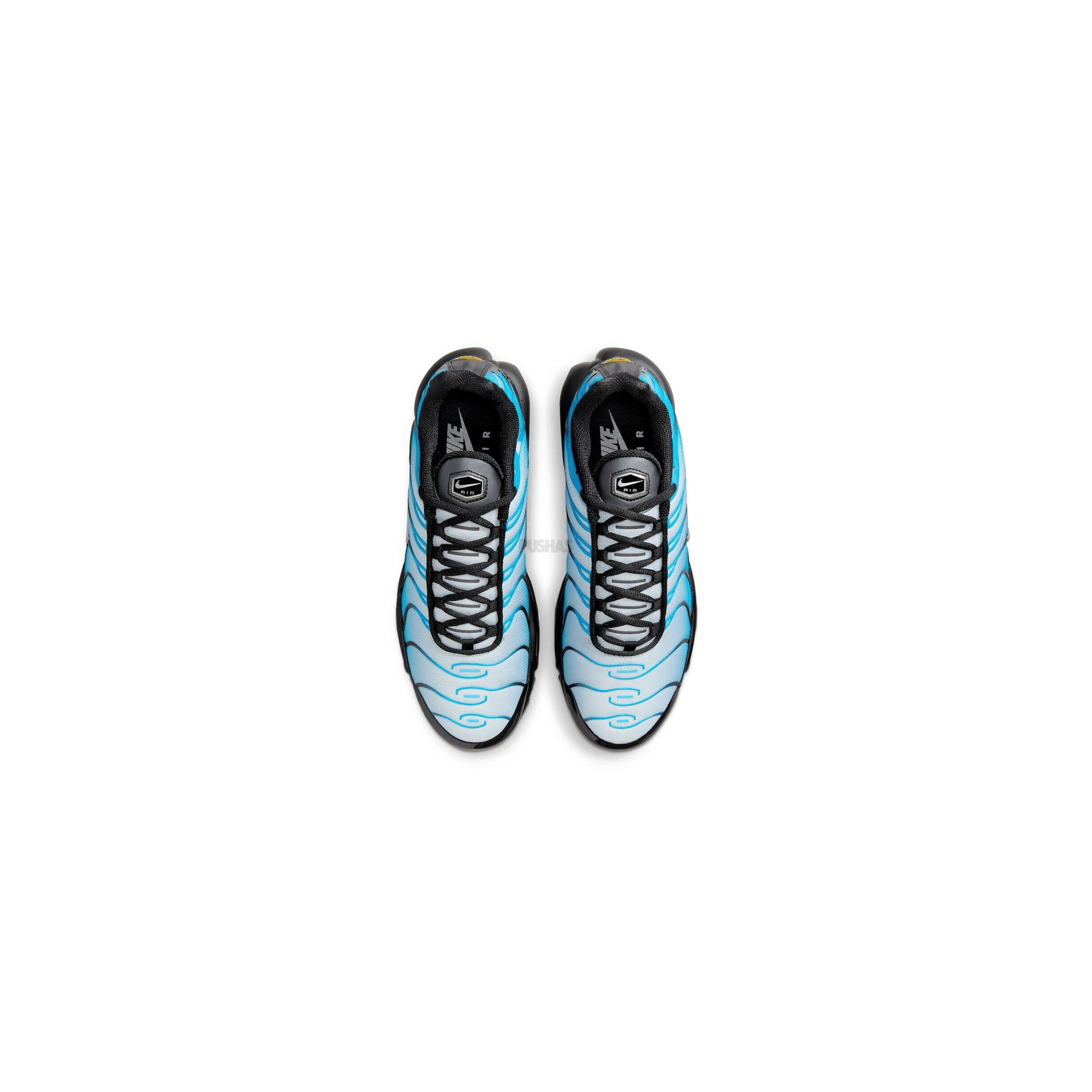 Nike Air Max Plus TN Neptune / Blue Gradient (2023)