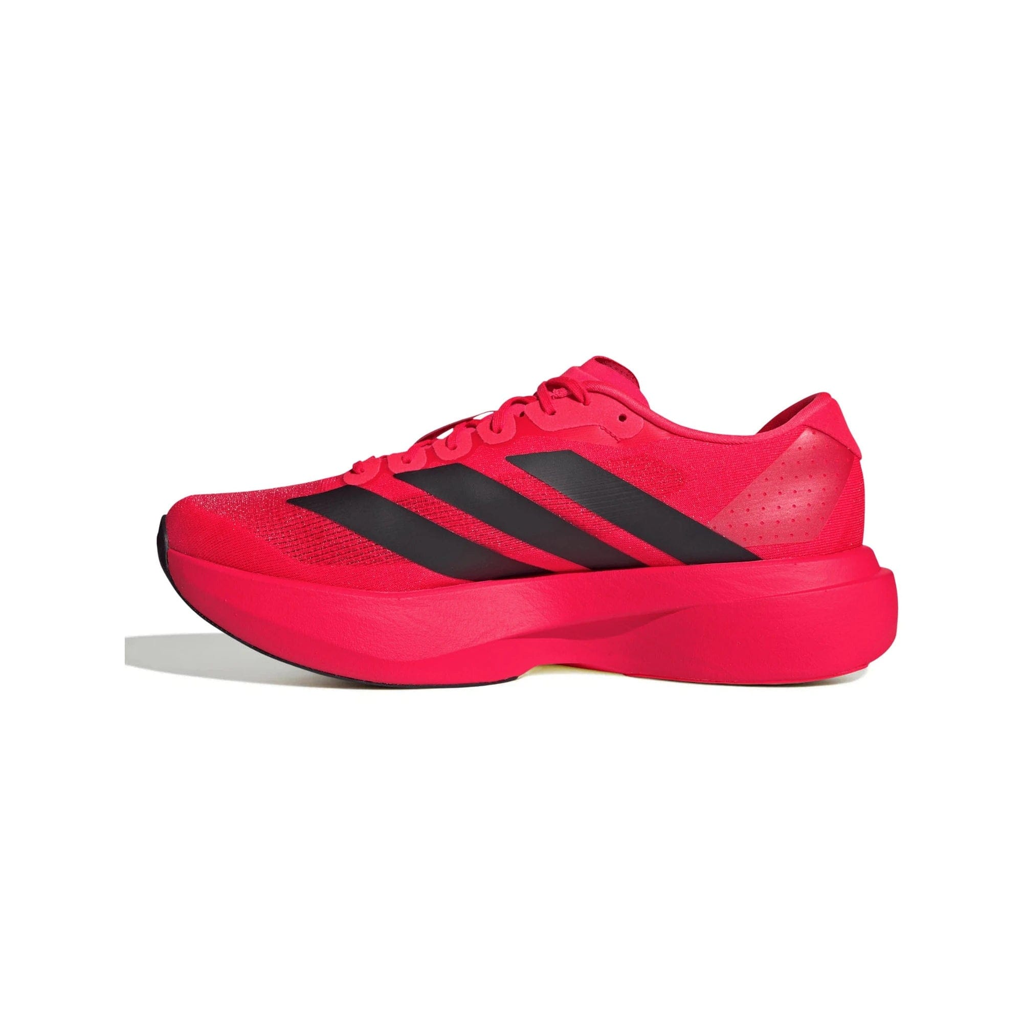 adidas Adizero Evo SL Lucid Red Core Black (2025)