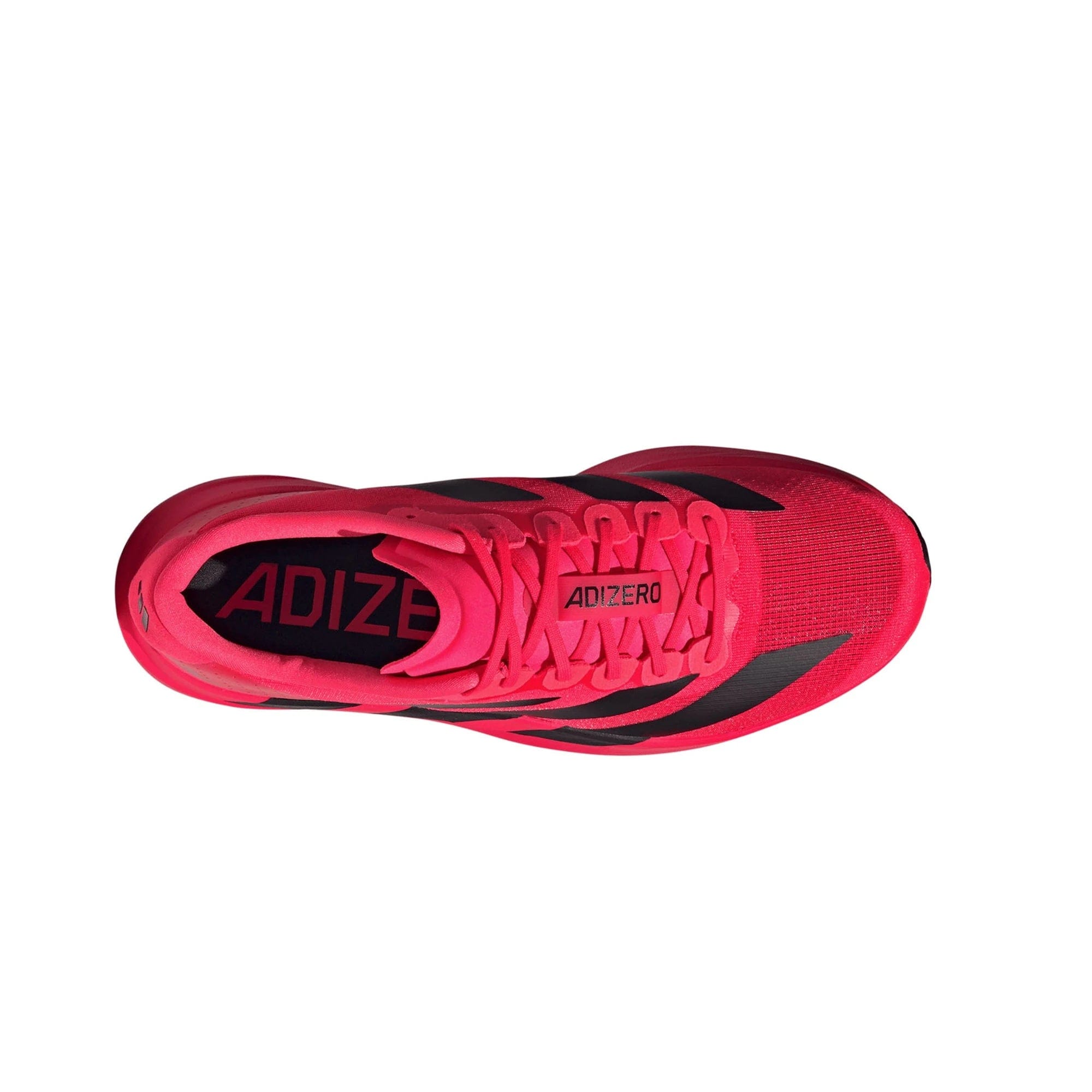 adidas Adizero Evo SL Lucid Red Core Black (2025)