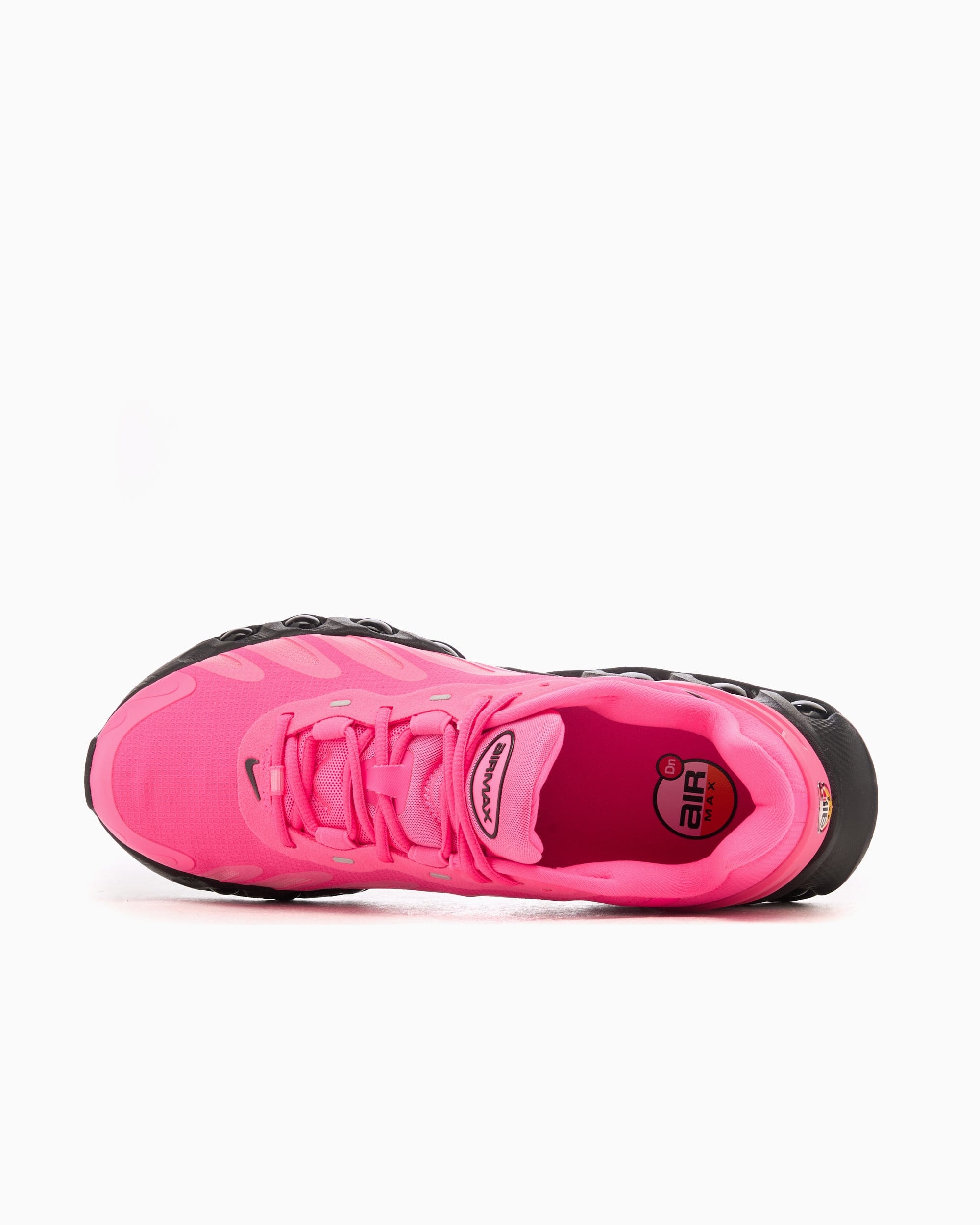 Nike Air Max DN8 Hyper Pink