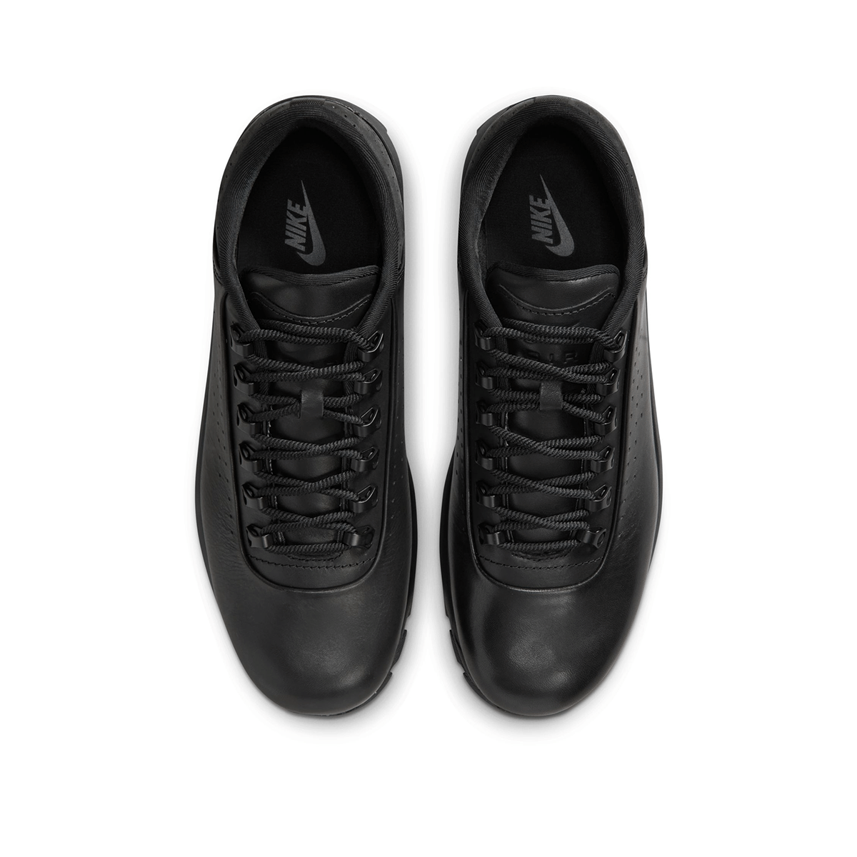 Nike Goadome Low Sp Acg Qs