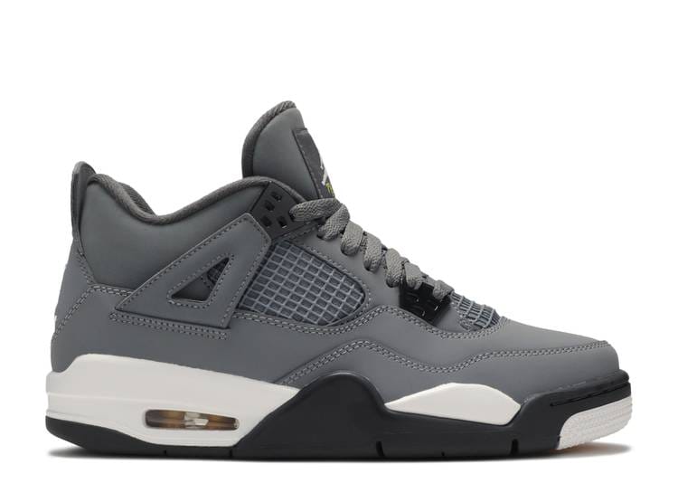 Air Jordan Jordan 4 Retro Cool Grey (2019) (WORN)
