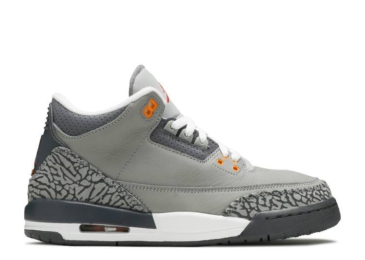 Air Jordan Jordan 3 Retro Cool Grey 2021 (WORN)