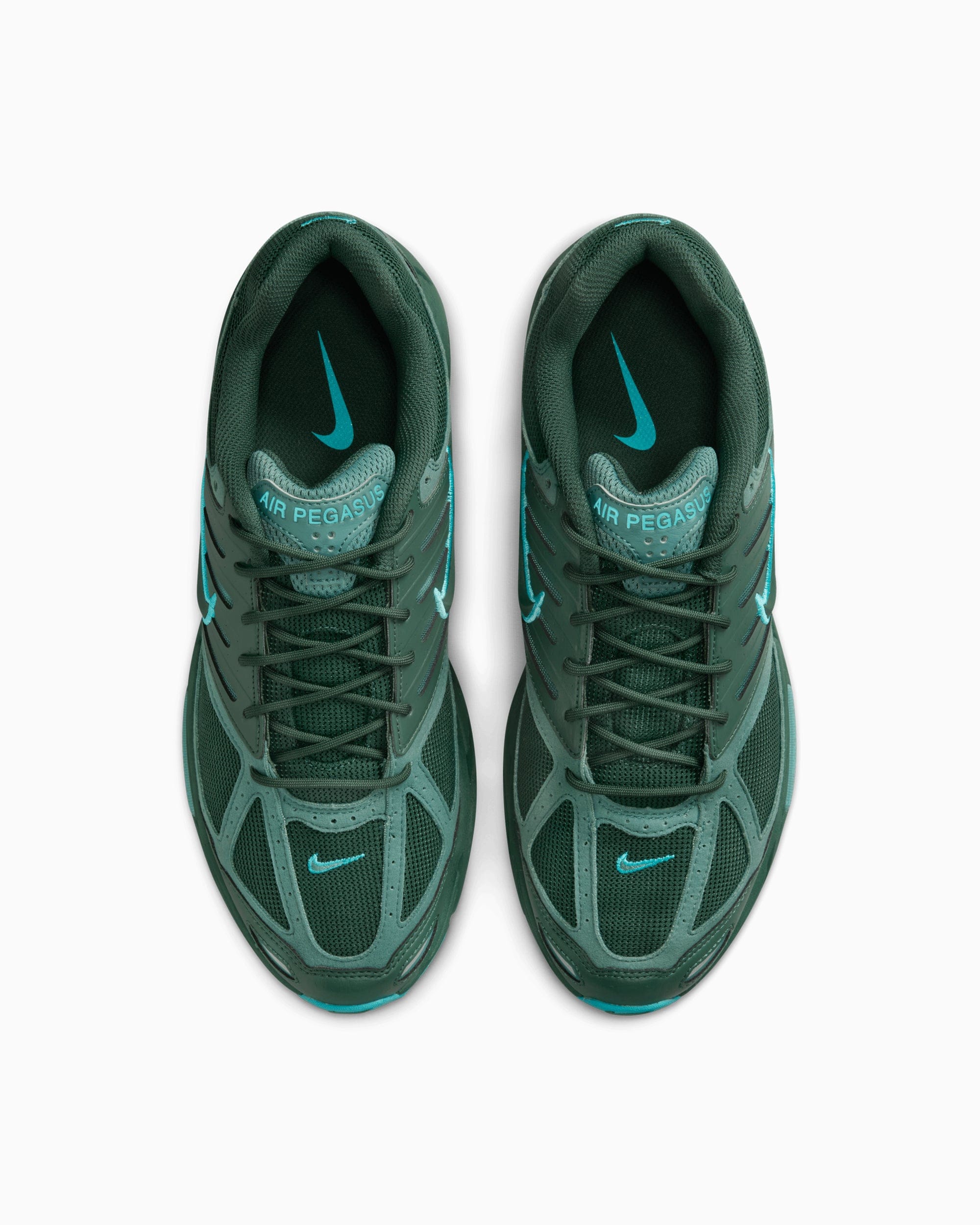 Nike Air Pegasus 2005 Fir