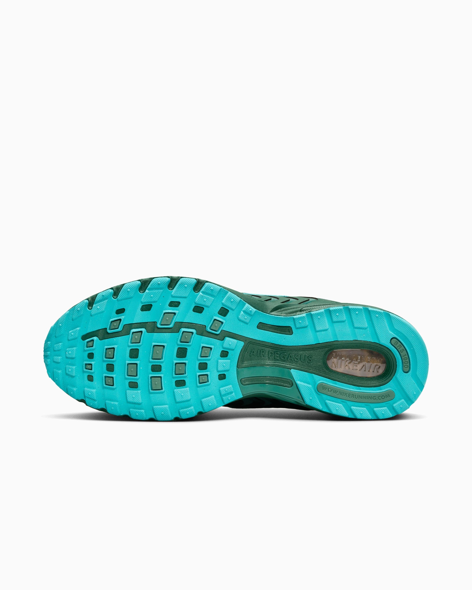 Nike Air Pegasus 2005 Fir