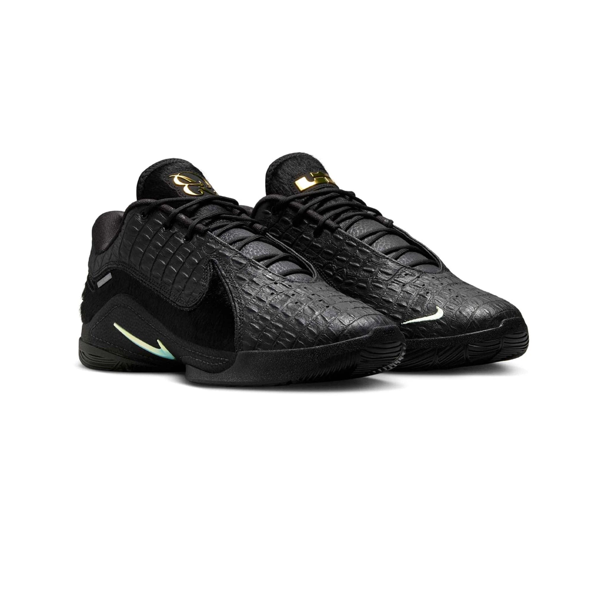 Nike LeBron 22 Black Label (2025)